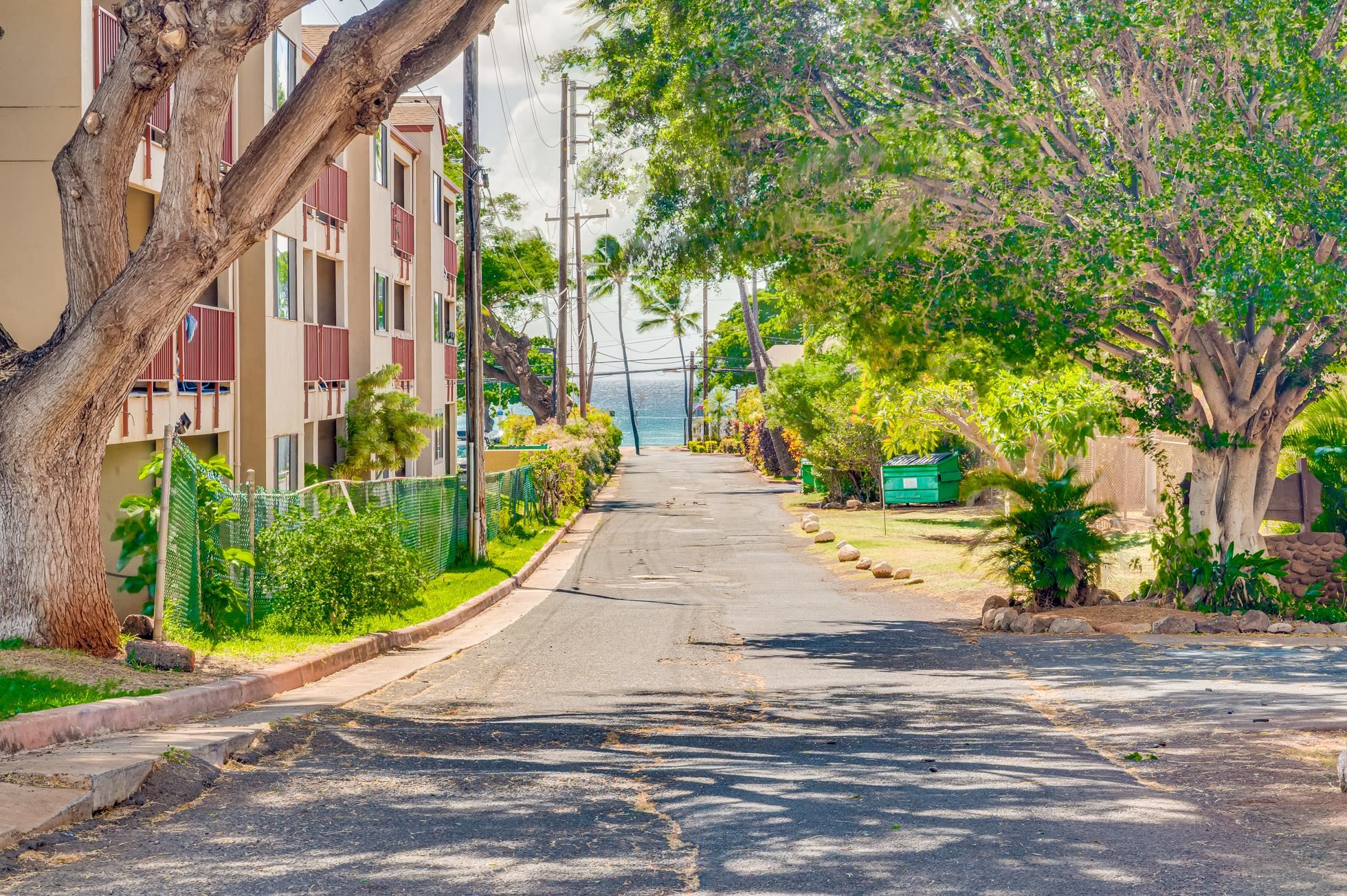 Honokowai East condo # 112, Lahaina, Hawaii - photo 35 of 48