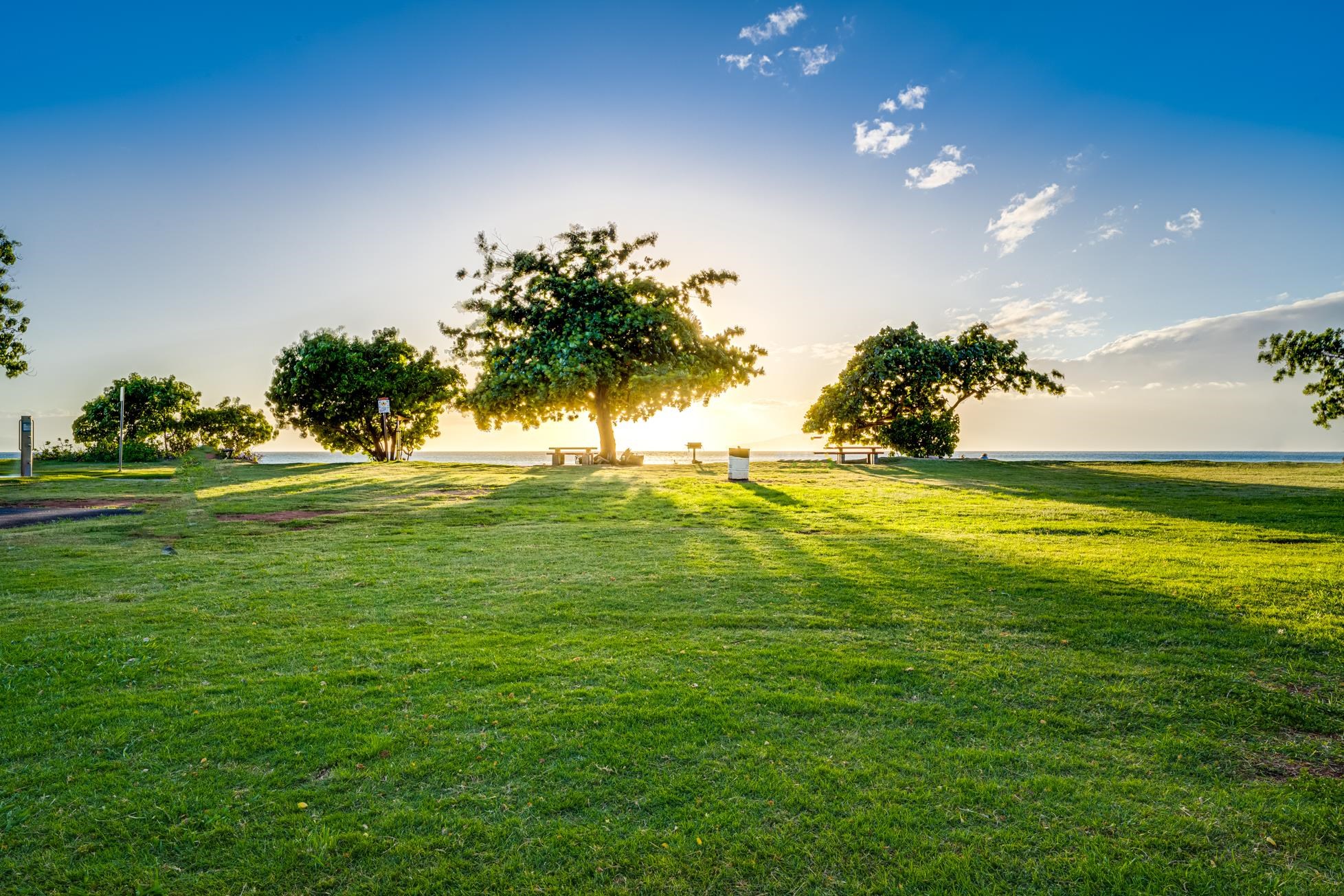 Honokowai East condo # 112, Lahaina, Hawaii - photo 37 of 48