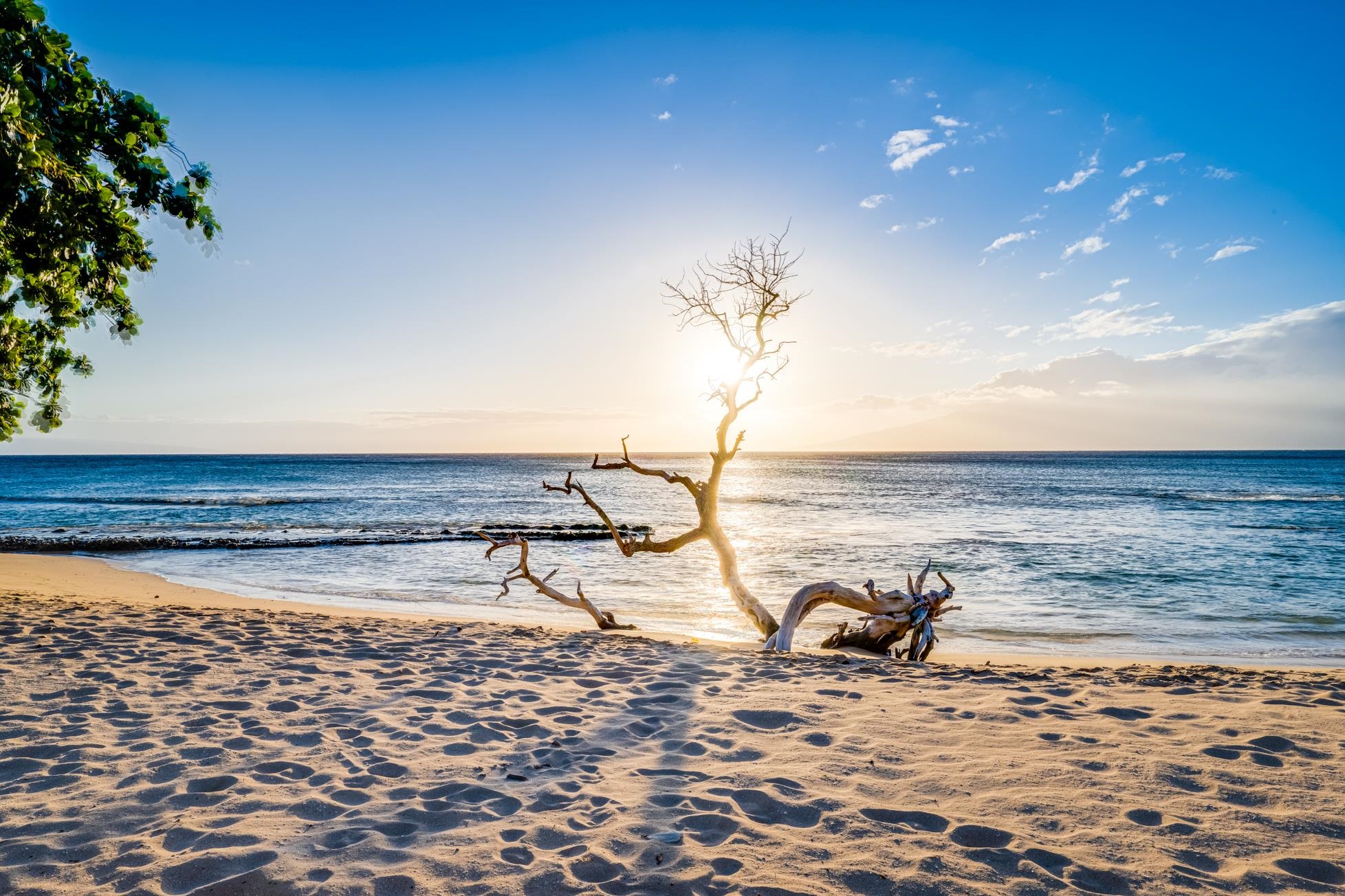 Honokowai East condo # 112, Lahaina, Hawaii - photo 39 of 48