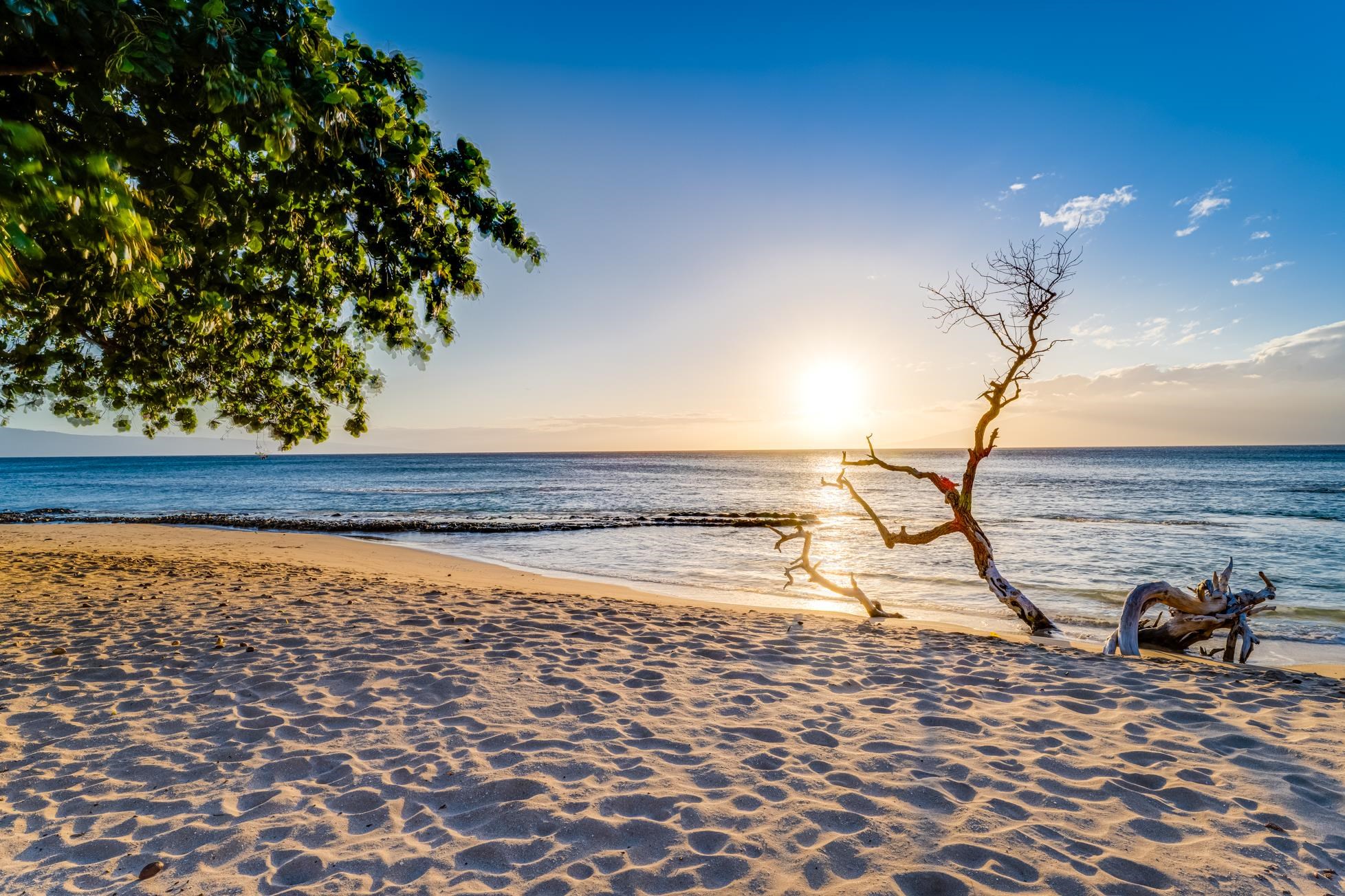 Honokowai East condo # 112, Lahaina, Hawaii - photo 40 of 48