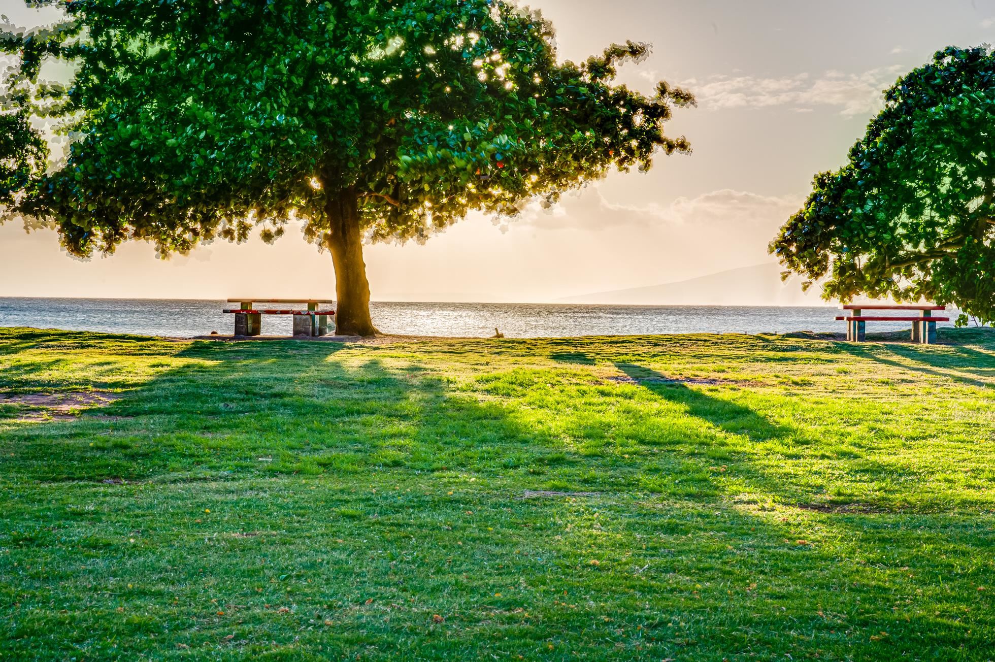 Honokowai East condo # 112, Lahaina, Hawaii - photo 42 of 48