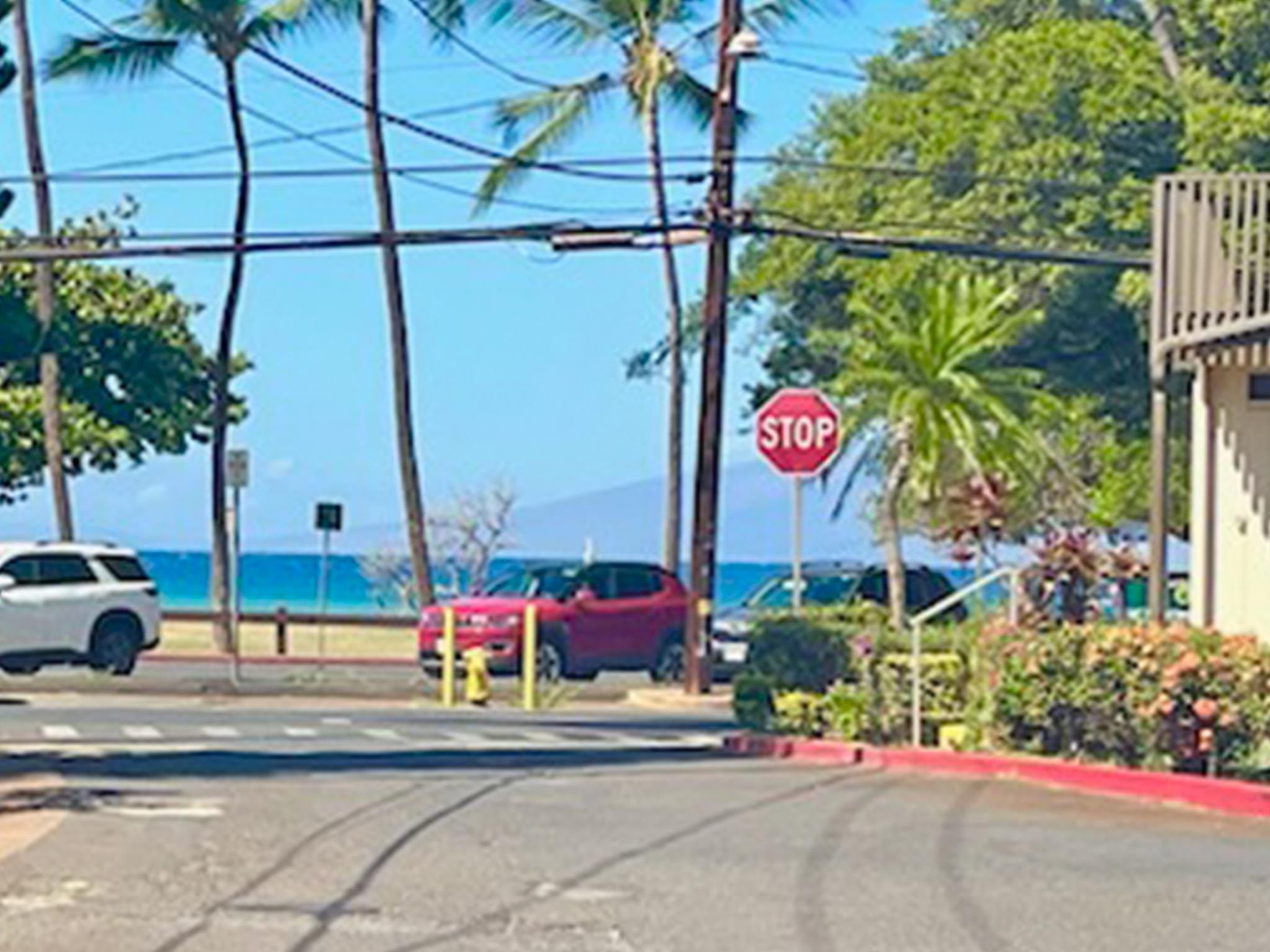 Honokowai East condo # 302, Lahaina, Hawaii - photo 26 of 30