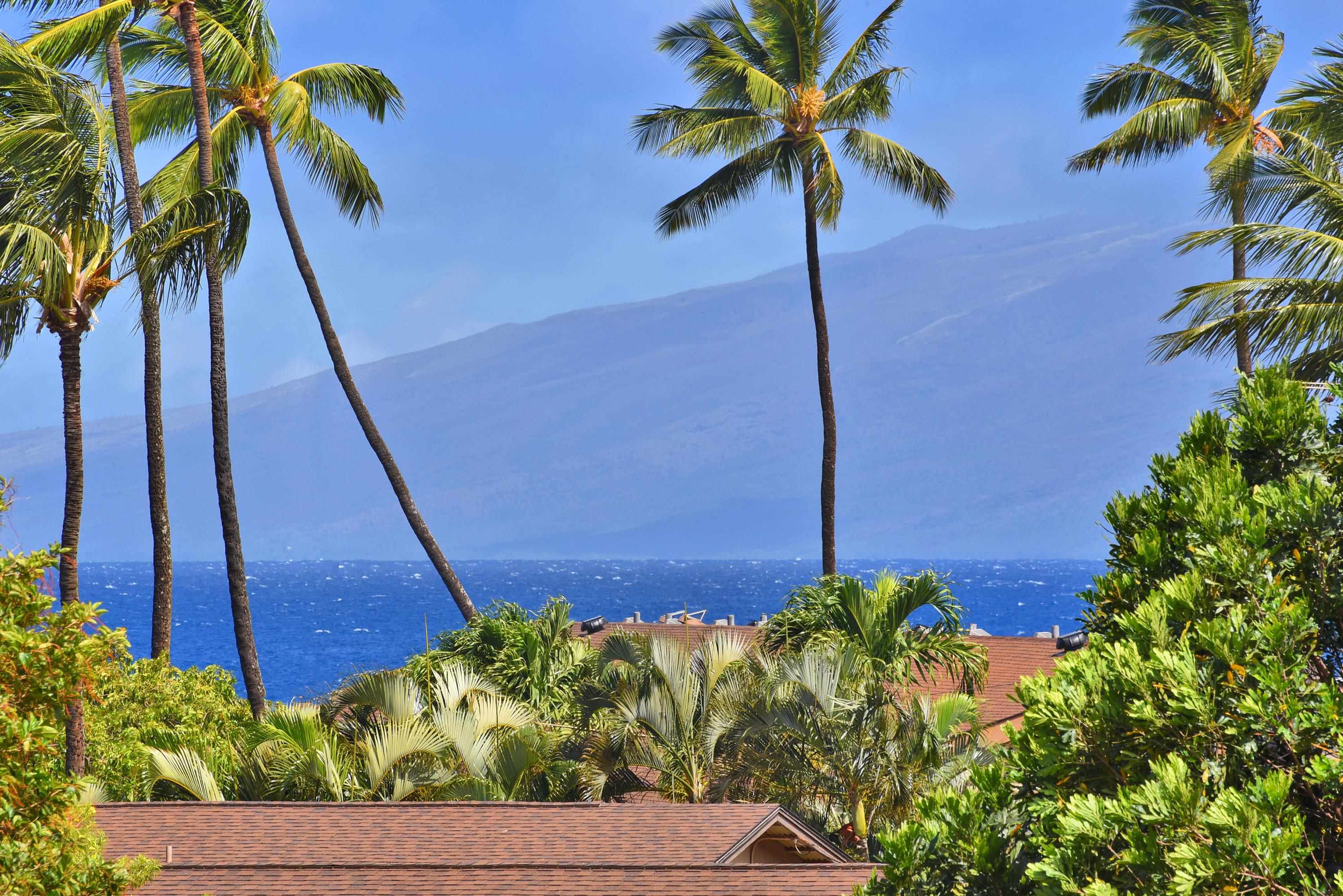 Honokowai East condo # 302, Lahaina, Hawaii - photo 26 of 27