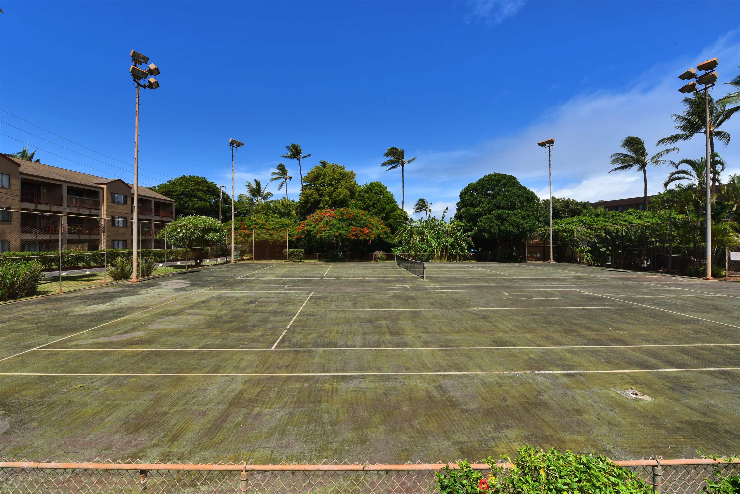 Honokowai East condo # 302, Lahaina, Hawaii - photo 24 of 29