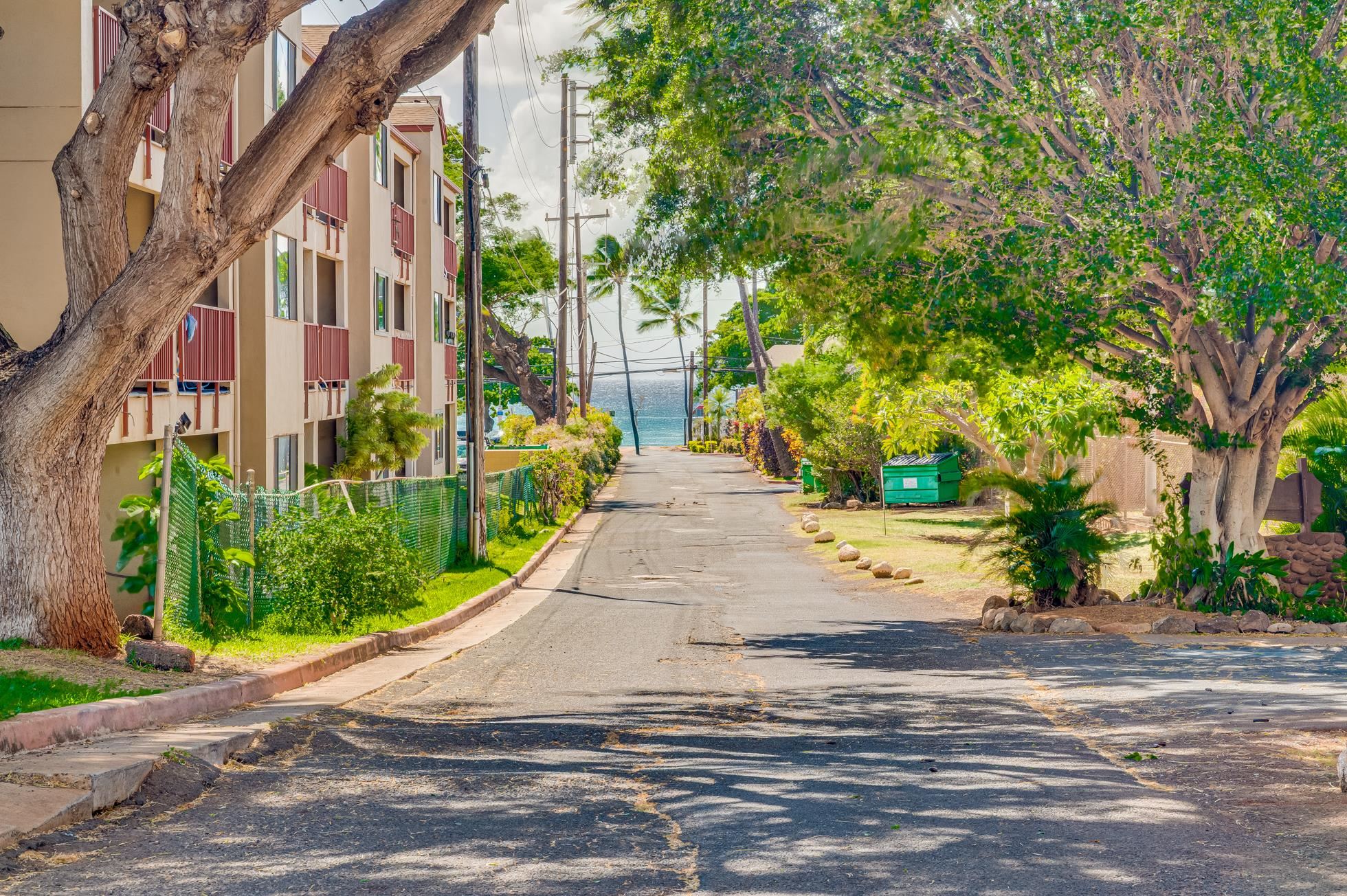 Honokowai East condo # 403, Lahaina, Hawaii - photo 37 of 41