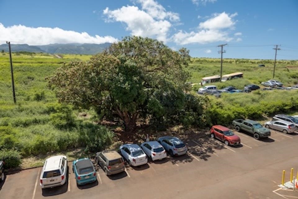 Honokowai East condo # 411, Lahaina, Hawaii - photo 40 of 41