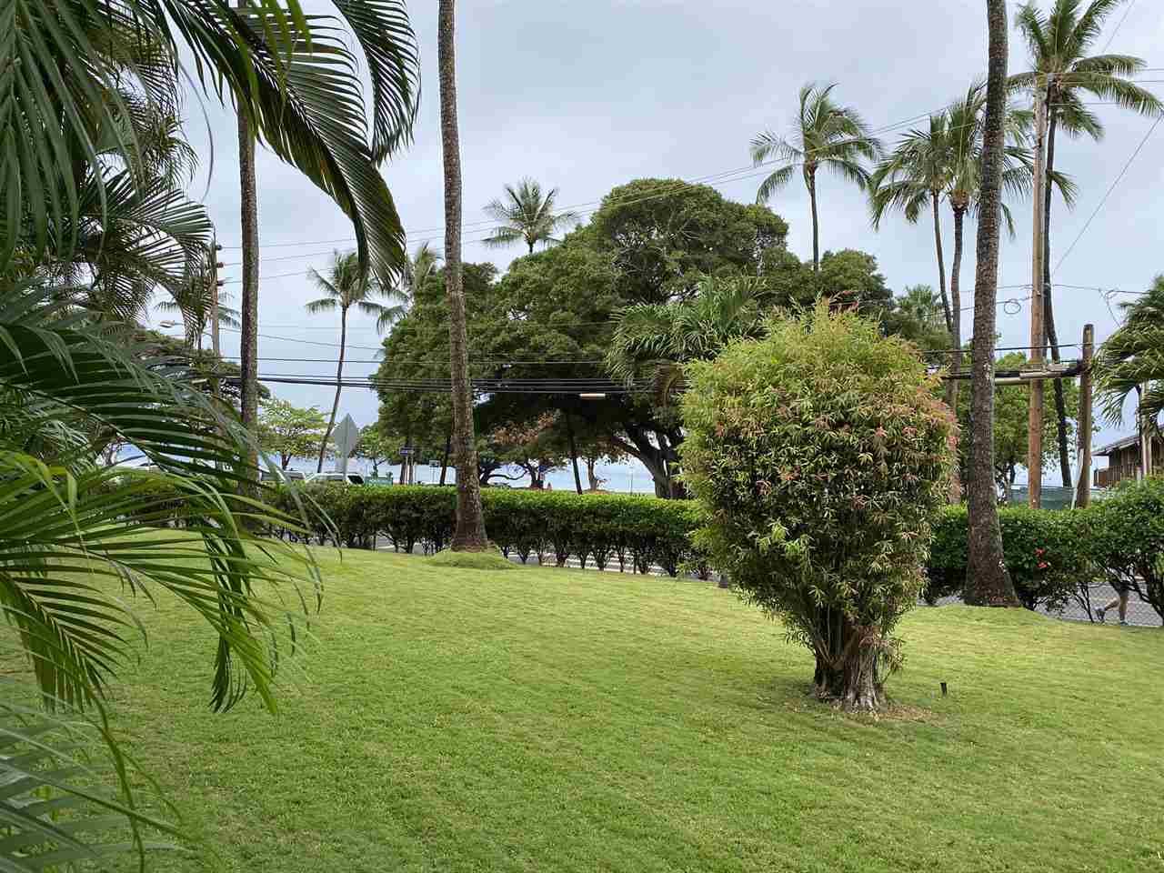 Honokowai Palms condo # A5, Lahaina, Hawaii - photo 2 of 14