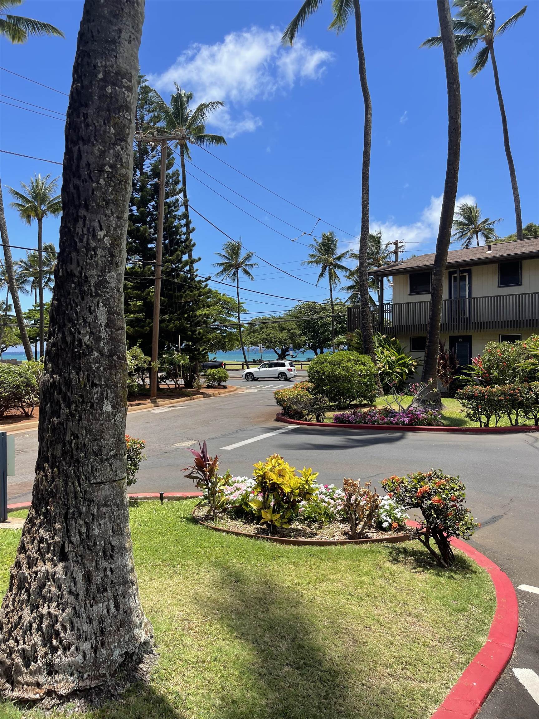 Honokowai Palms condo # B1, Lahaina, Hawaii - photo 19 of 26