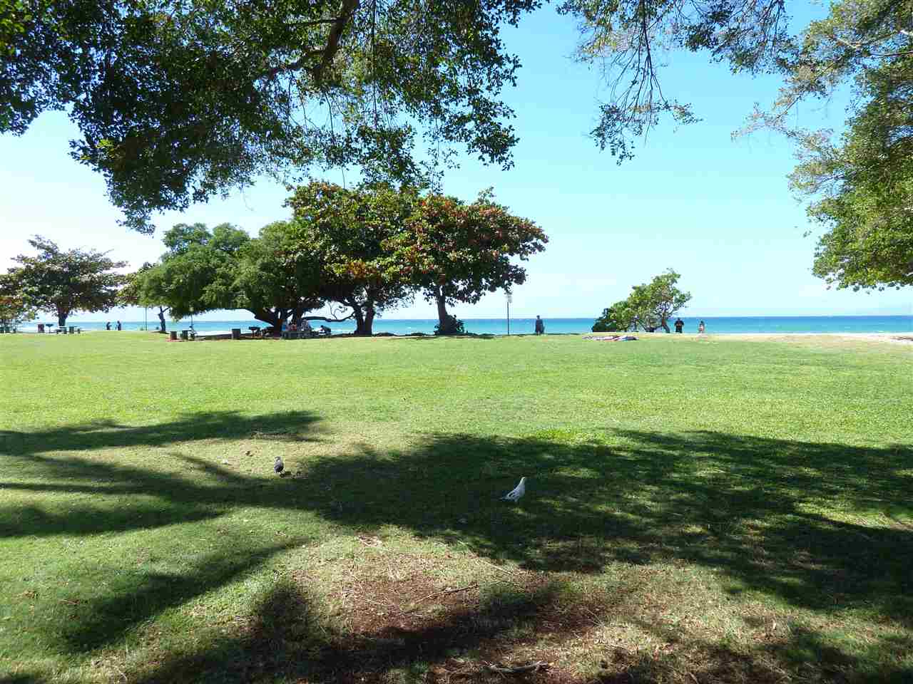 Honokowai Palms condo # B2, Lahaina, Hawaii - photo 22 of 25