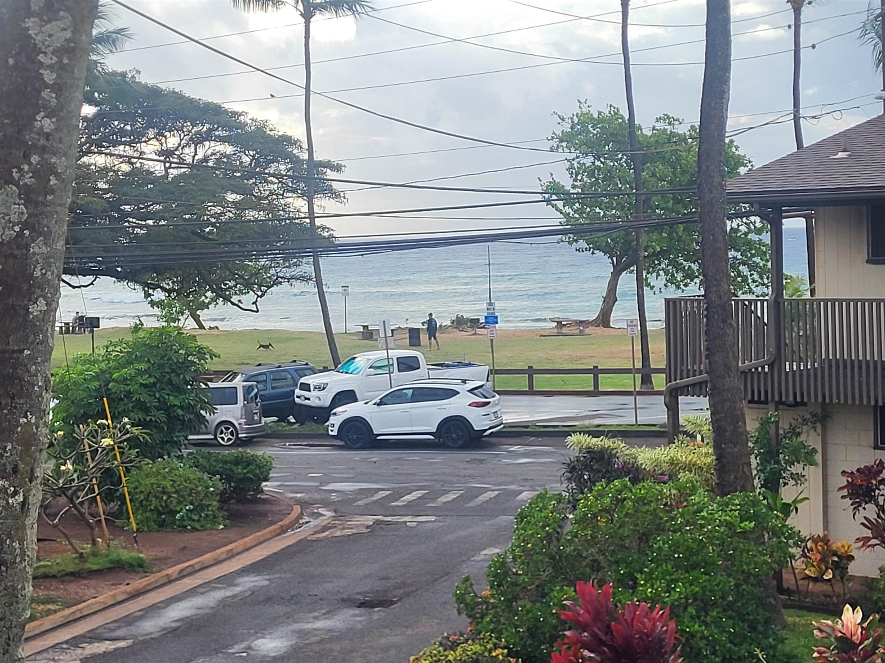 Honokowai Palms condo # B 6, Lahaina, Hawaii - photo 23 of 33