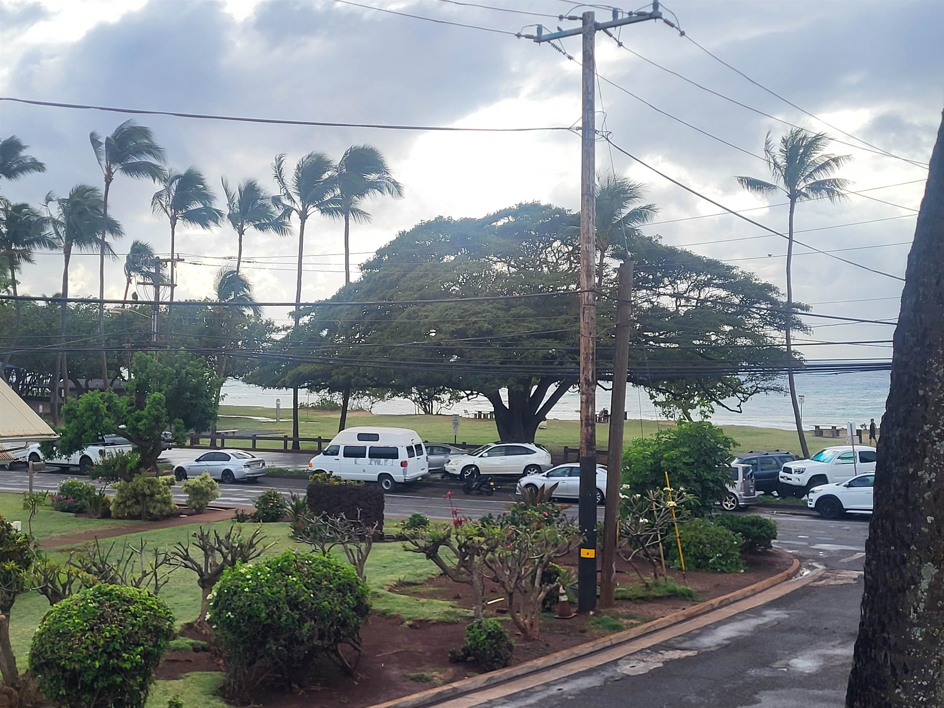 Honokowai Palms condo # B 6, Lahaina, Hawaii - photo 25 of 33