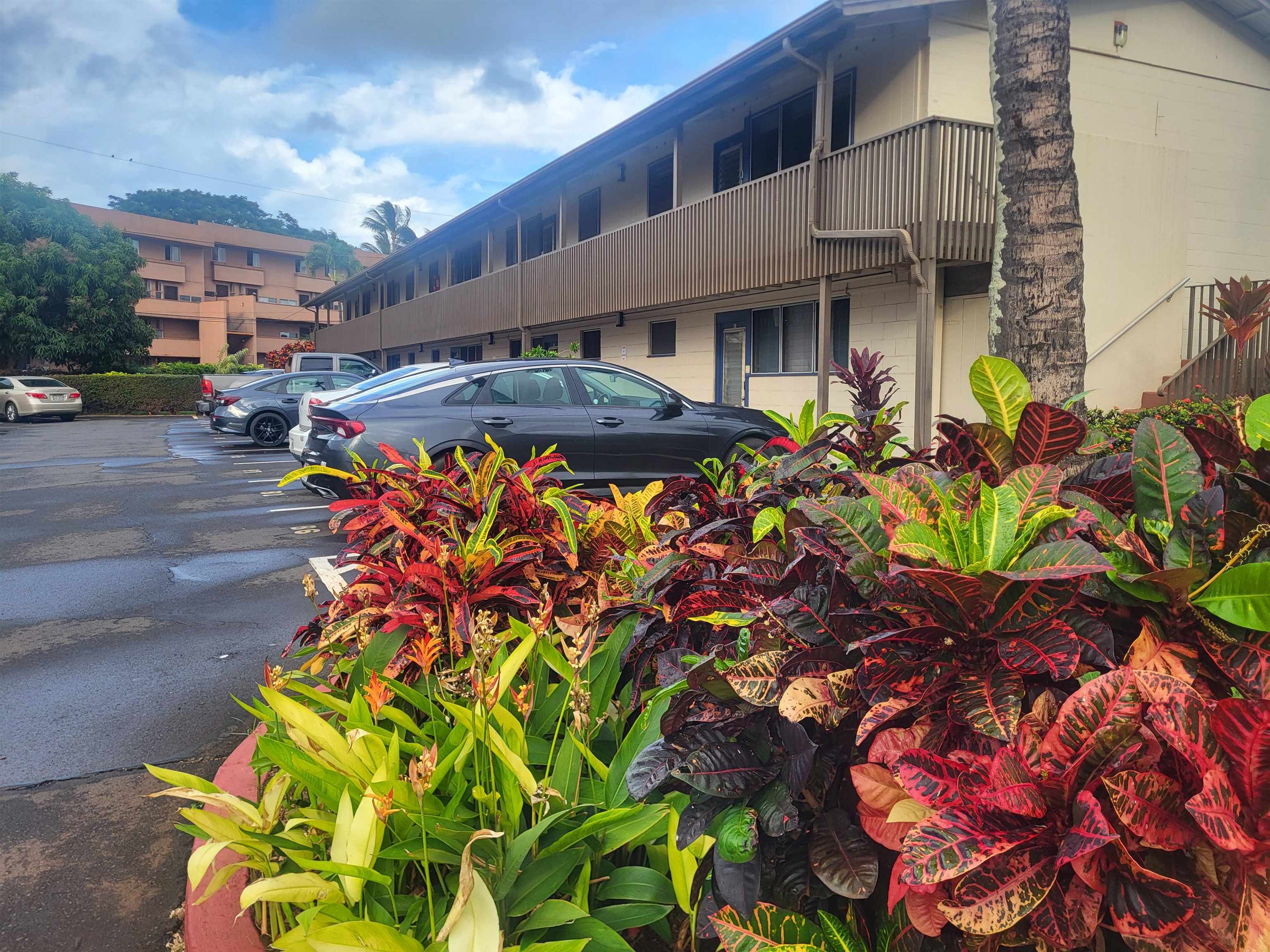 Honokowai Palms condo # B 6, Lahaina, Hawaii - photo 26 of 33