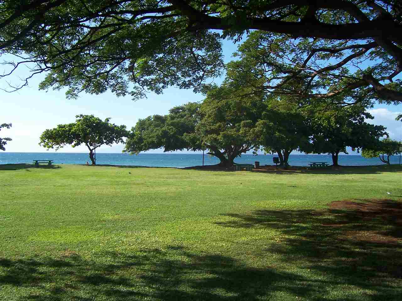 Honokowai Palms condo # C-1, Lahaina, Hawaii - photo 11 of 12