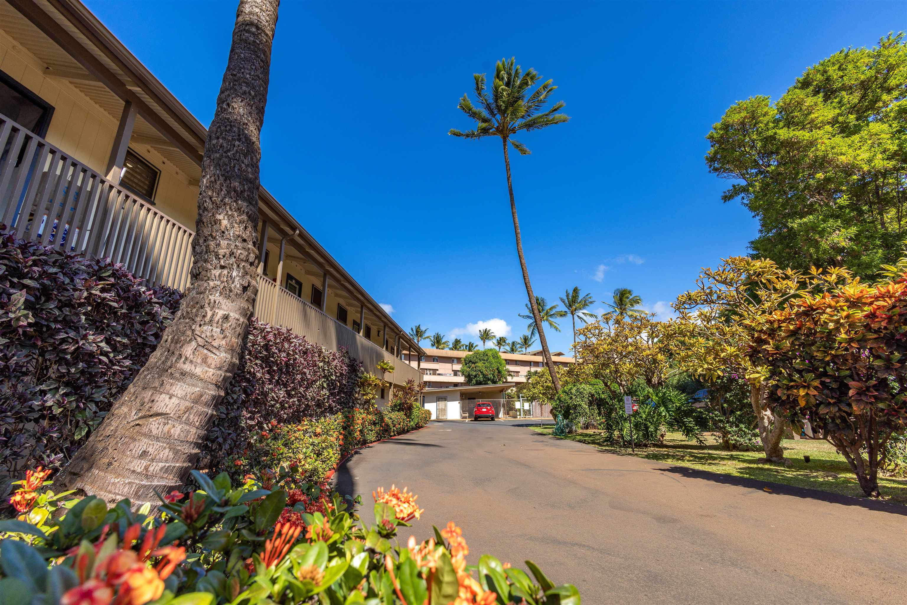 Honokowai Palms condo # C5, Lahaina, Hawaii - photo 29 of 30