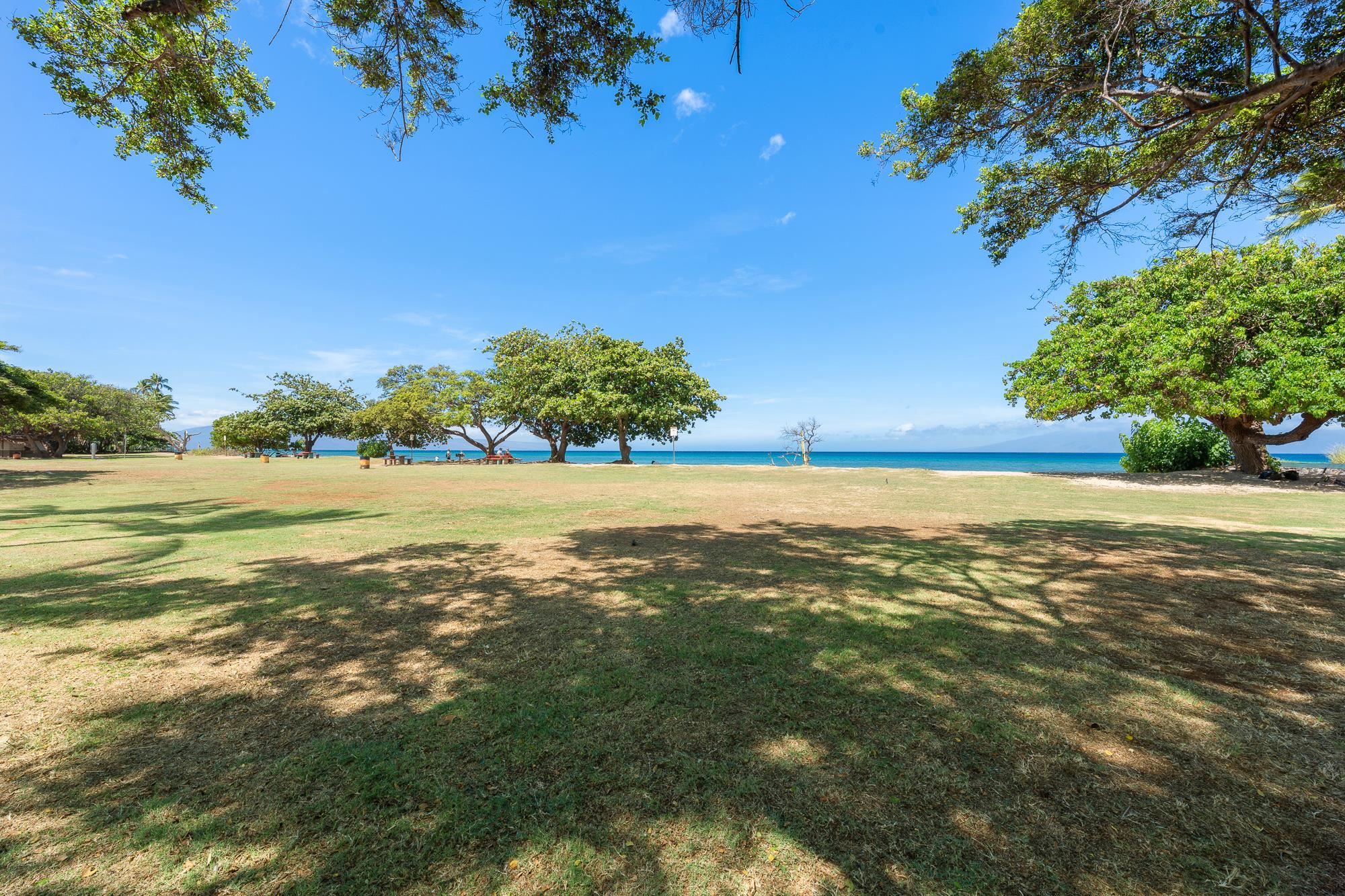 West Maui Trades condo # A304, Lahaina, Hawaii - photo 3 of 37