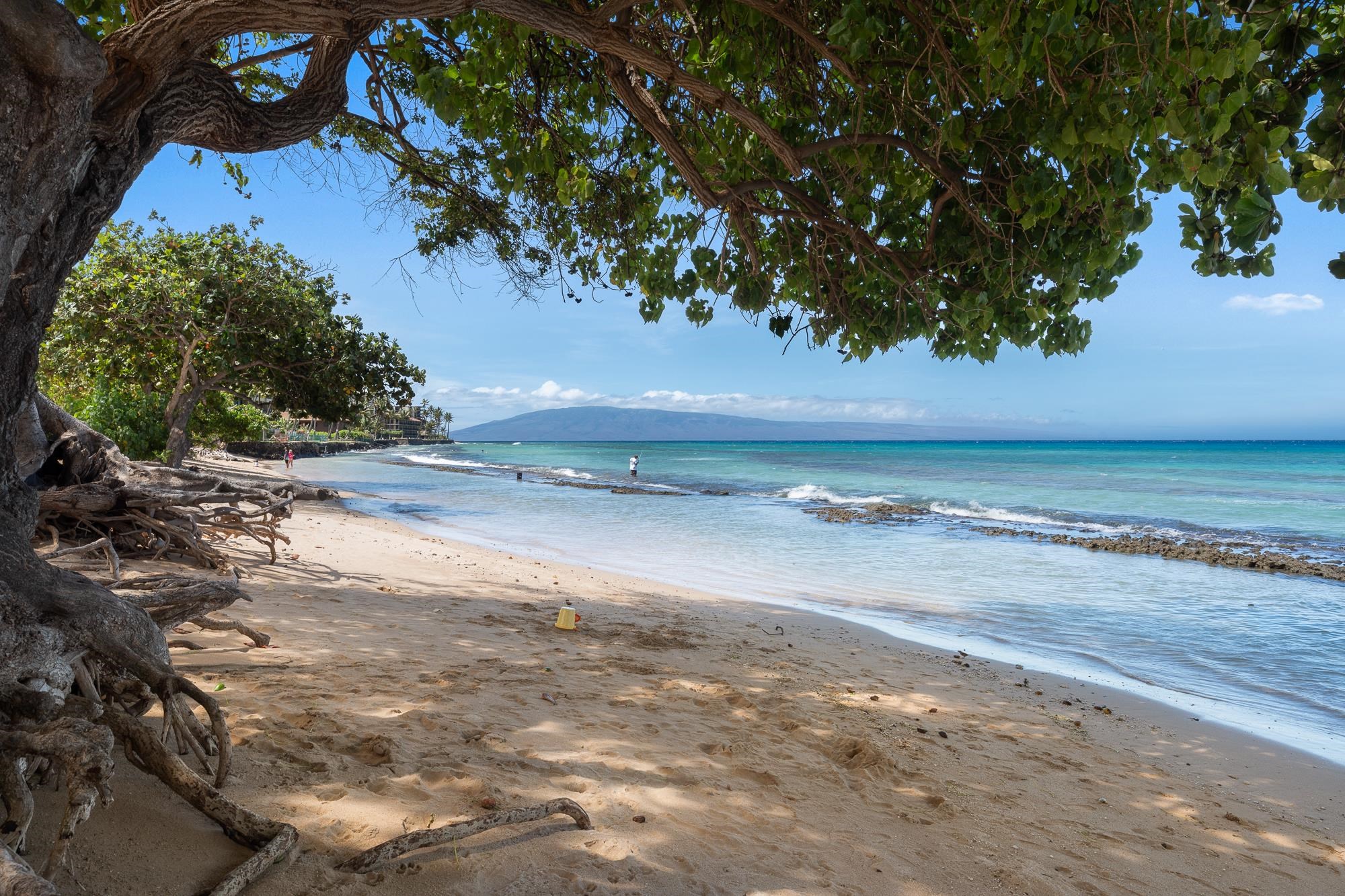 West Maui Trades condo # A304, Lahaina, Hawaii - photo 22 of 37