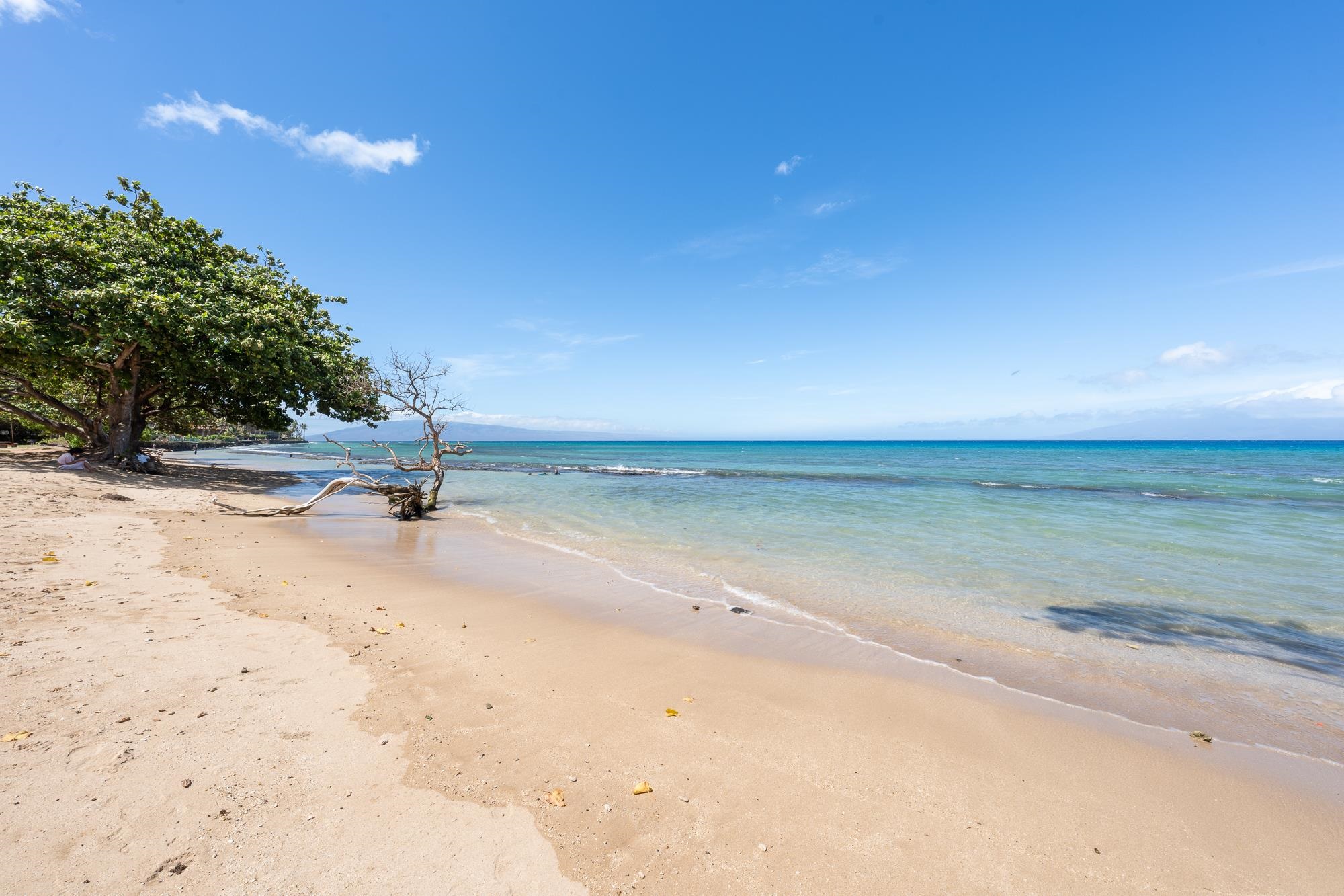 West Maui Trades condo # A304, Lahaina, Hawaii - photo 23 of 37