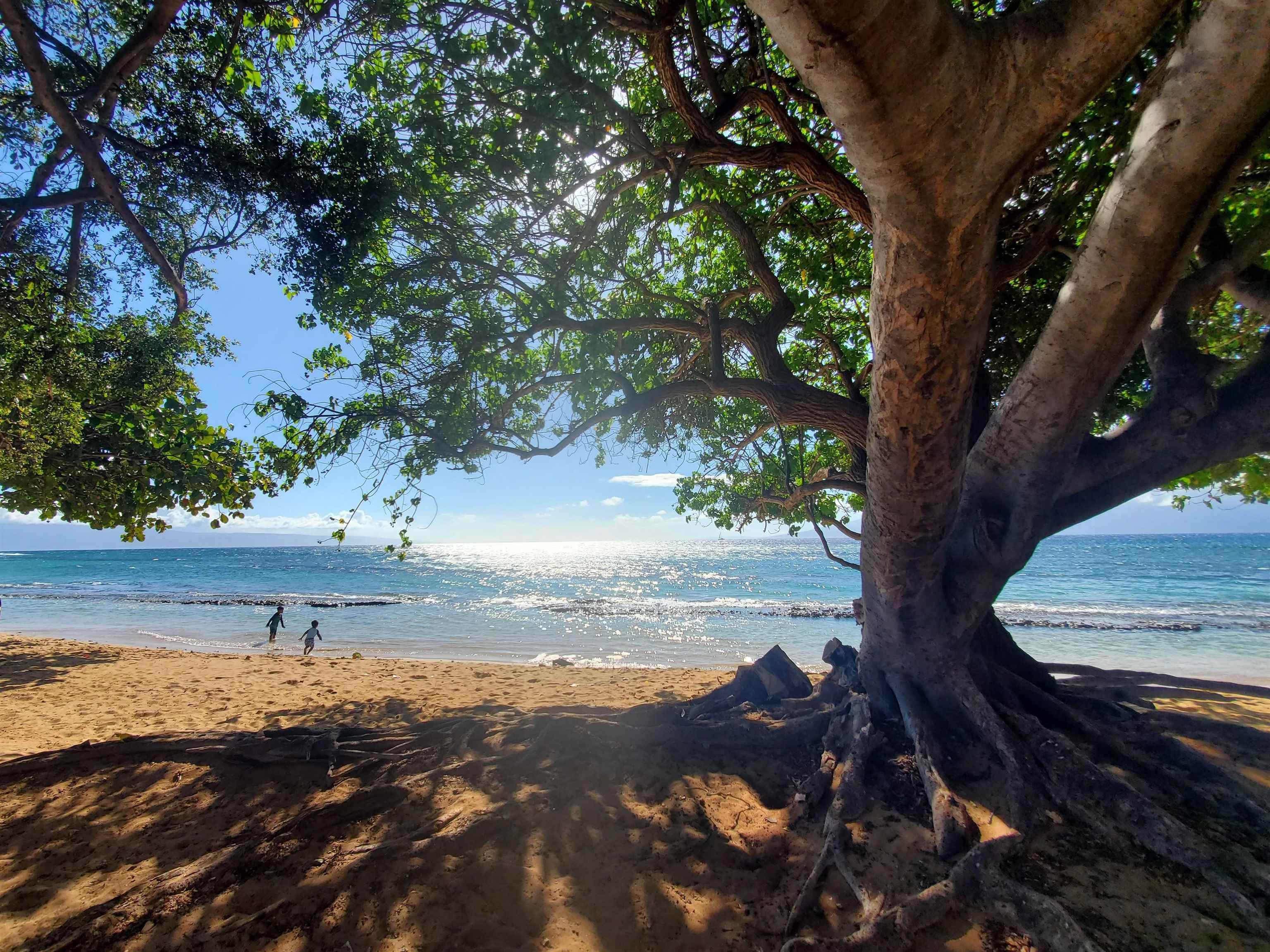 West Maui Trades condo # G101, Lahaina, Hawaii - photo 3 of 3