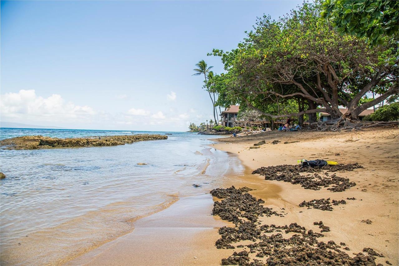 West Maui Trades condo # C301, Lahaina, Hawaii - photo 42 of 46