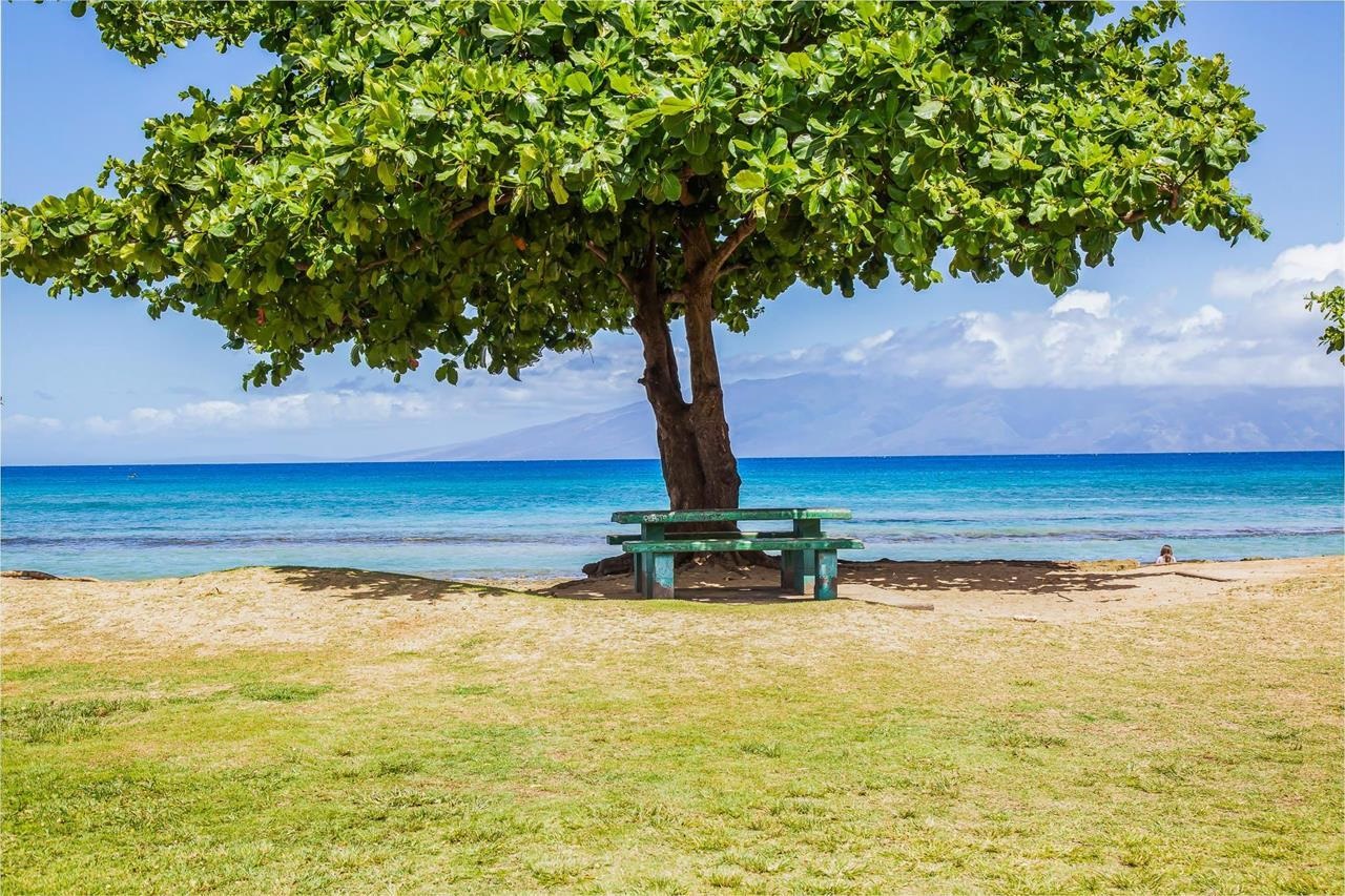 West Maui Trades condo # C301, Lahaina, Hawaii - photo 43 of 46