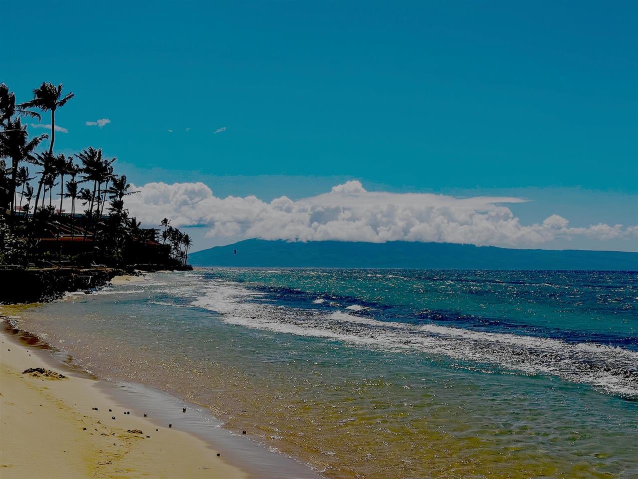 West Maui Trades condo # C301, Lahaina, Hawaii - photo 44 of 46