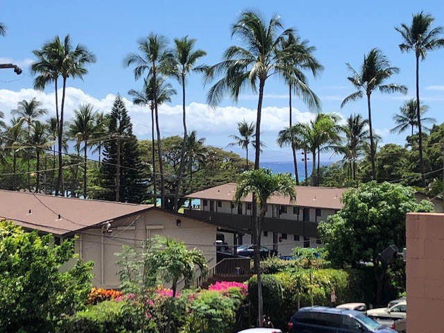 West Maui Trades condo # D304, Lahaina, Hawaii - photo 11 of 13