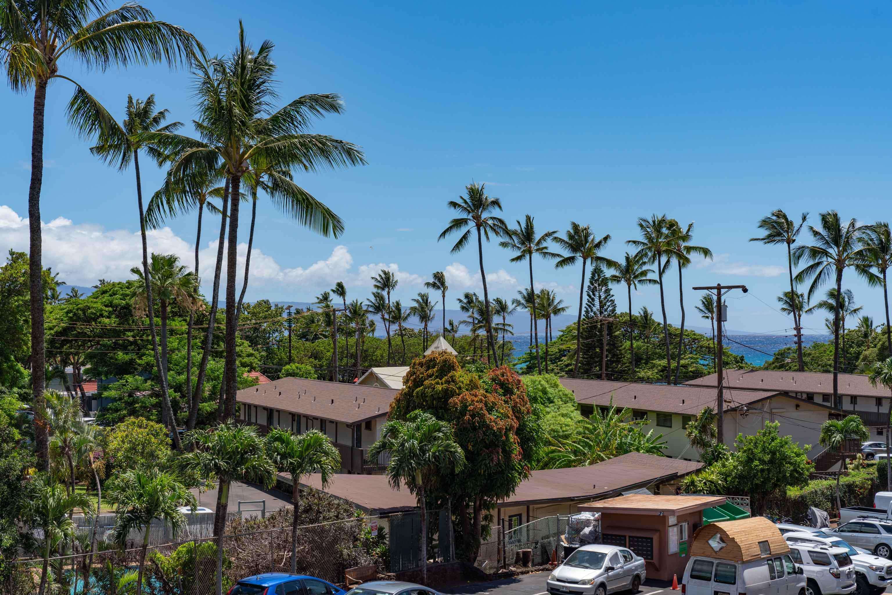 West Maui Trades condo # F301, Lahaina, Hawaii - photo 19 of 21