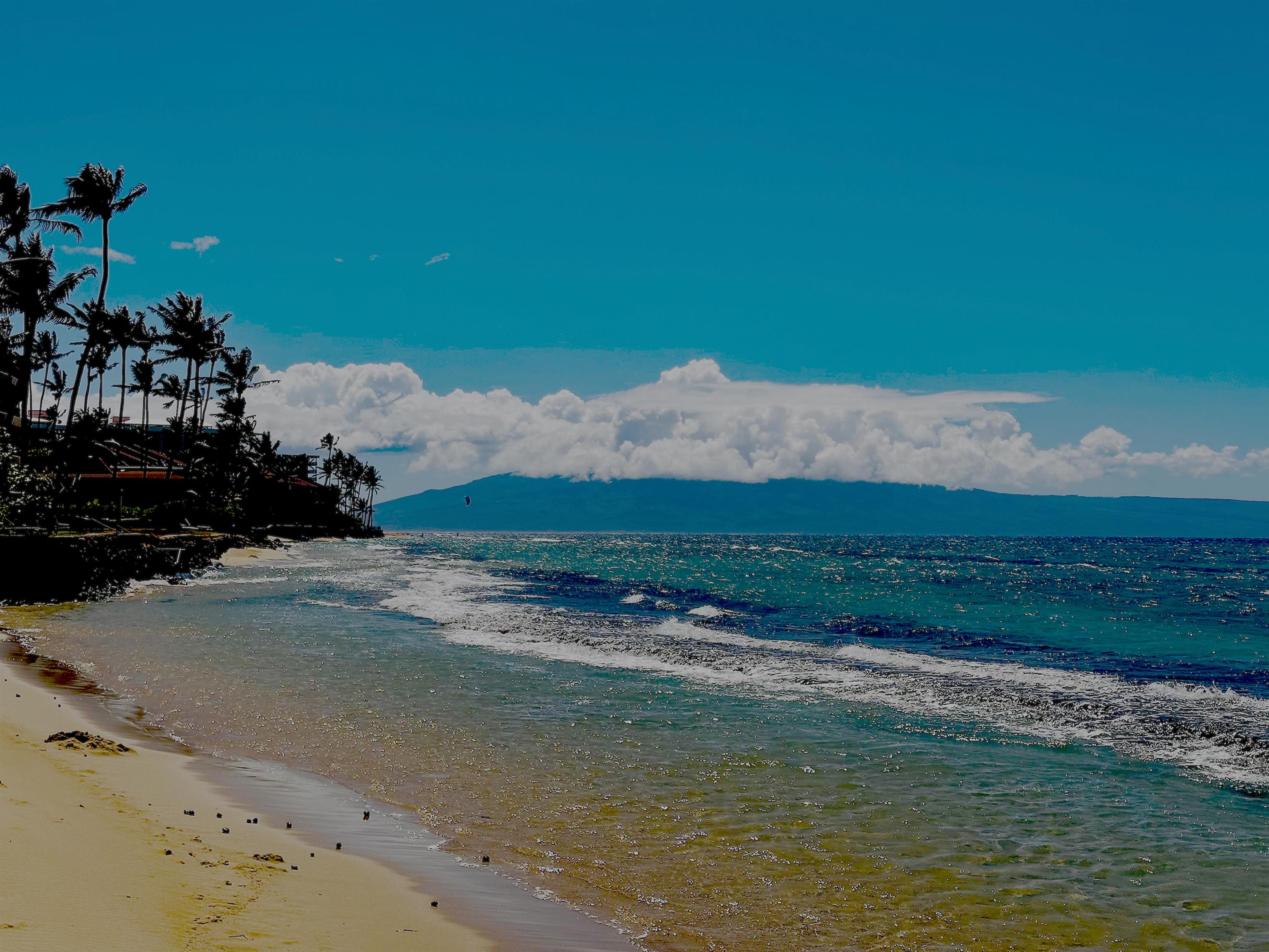 West Maui Trades condo # F303, Lahaina, Hawaii - photo 34 of 36