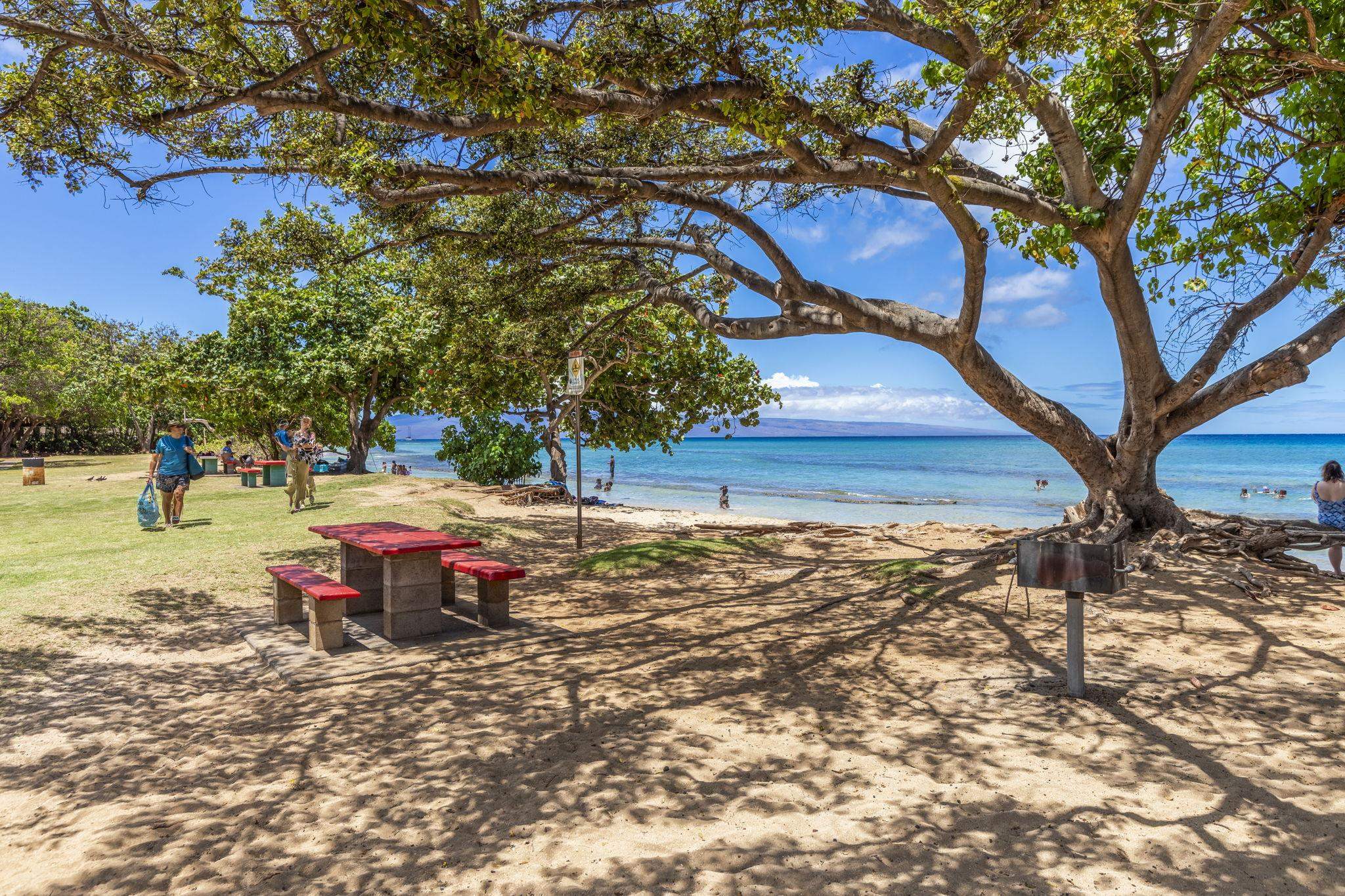 West Maui Trades condo # F306, Lahaina, Hawaii - photo 19 of 38