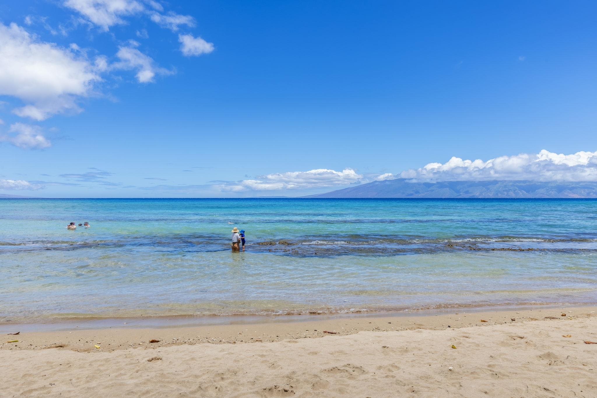 West Maui Trades condo # F306, Lahaina, Hawaii - photo 23 of 38