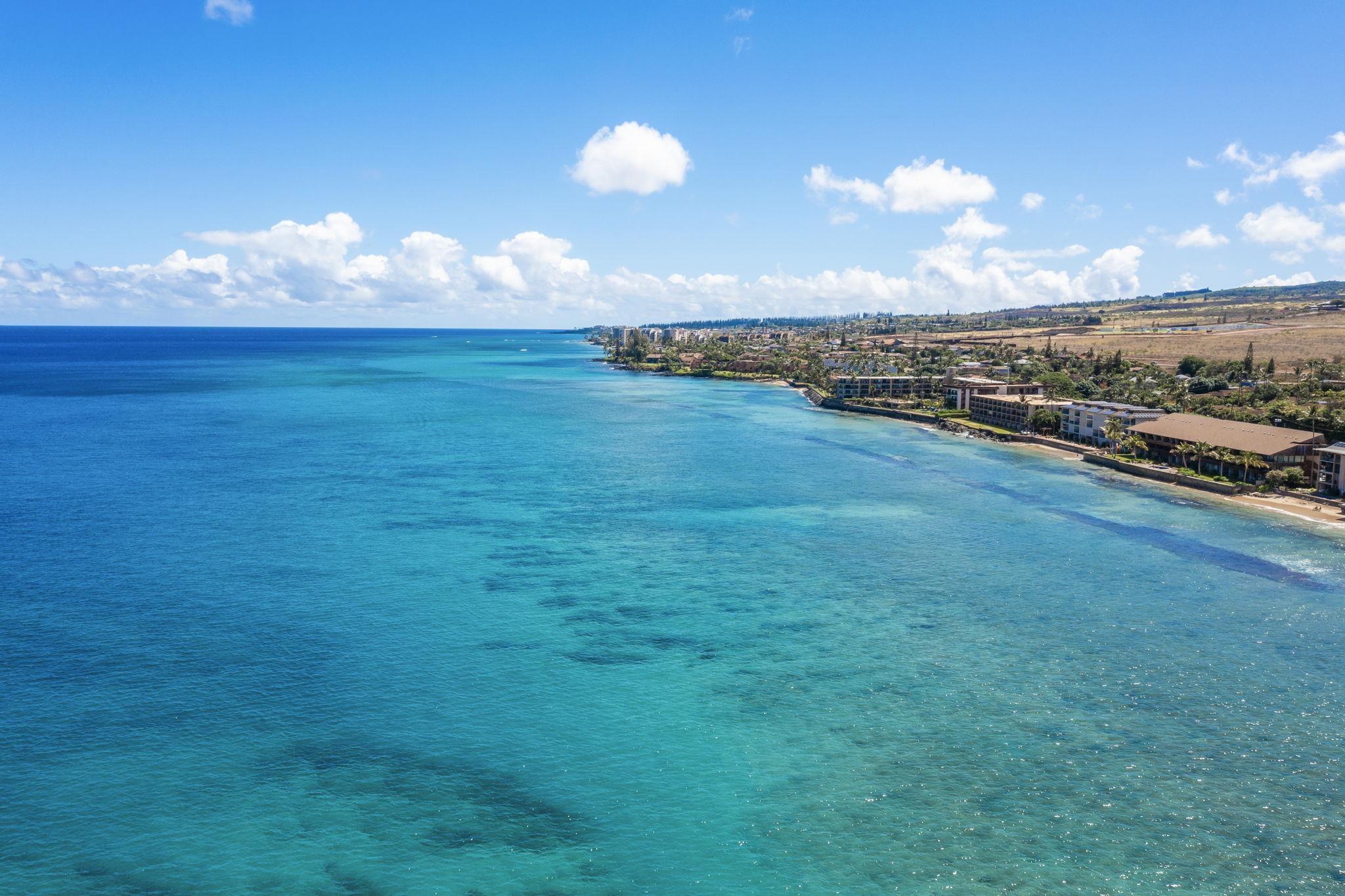 West Maui Trades condo # F306, Lahaina, Hawaii - photo 29 of 38