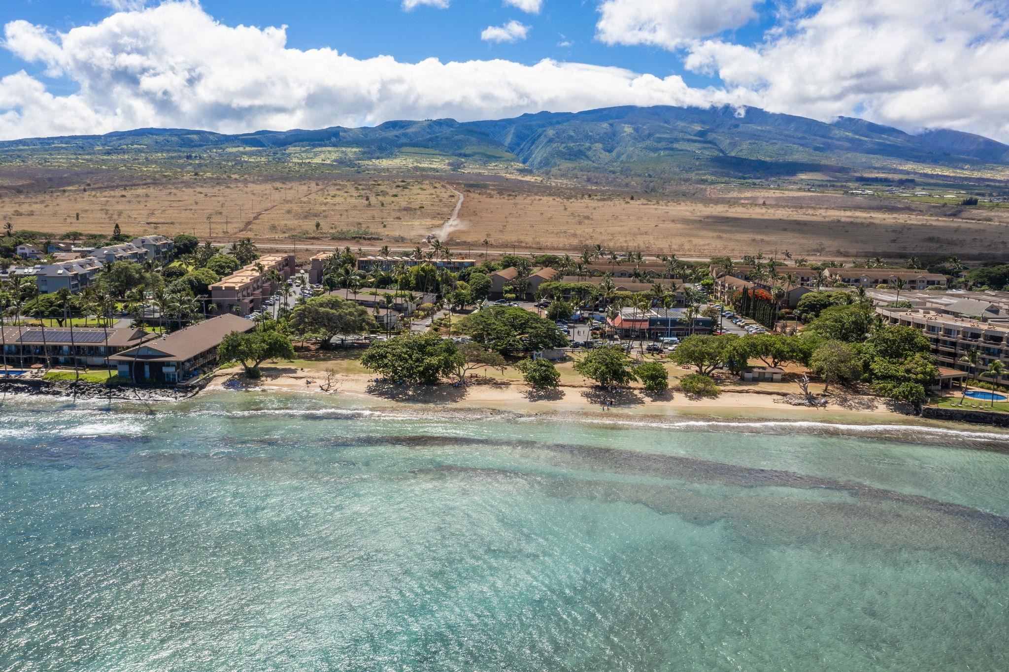 West Maui Trades condo # F306, Lahaina, Hawaii - photo 31 of 38