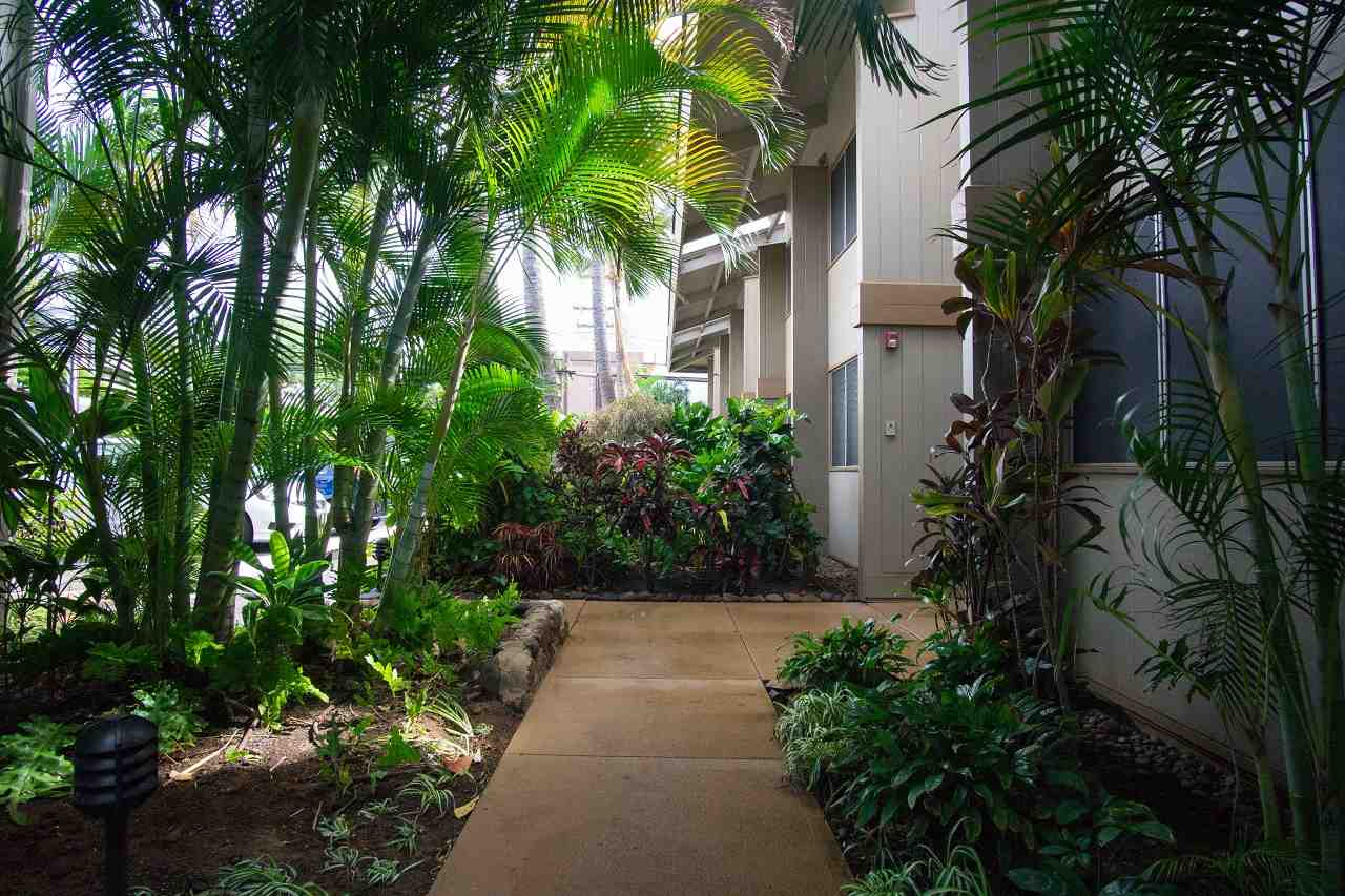 Hale Kai I condo # 107, Lahaina, Hawaii - photo 15 of 18