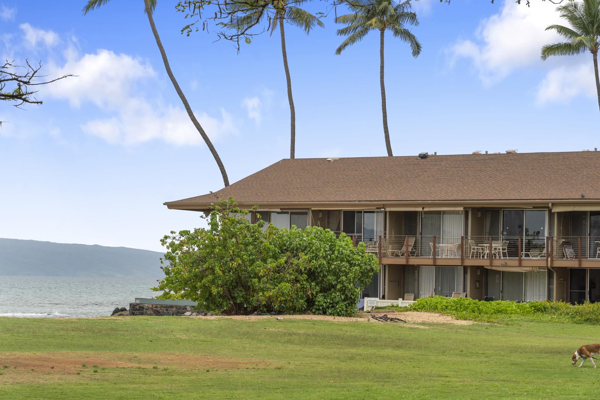 Hale Kai I condo # 110, Lahaina, Hawaii - photo 29 of 46