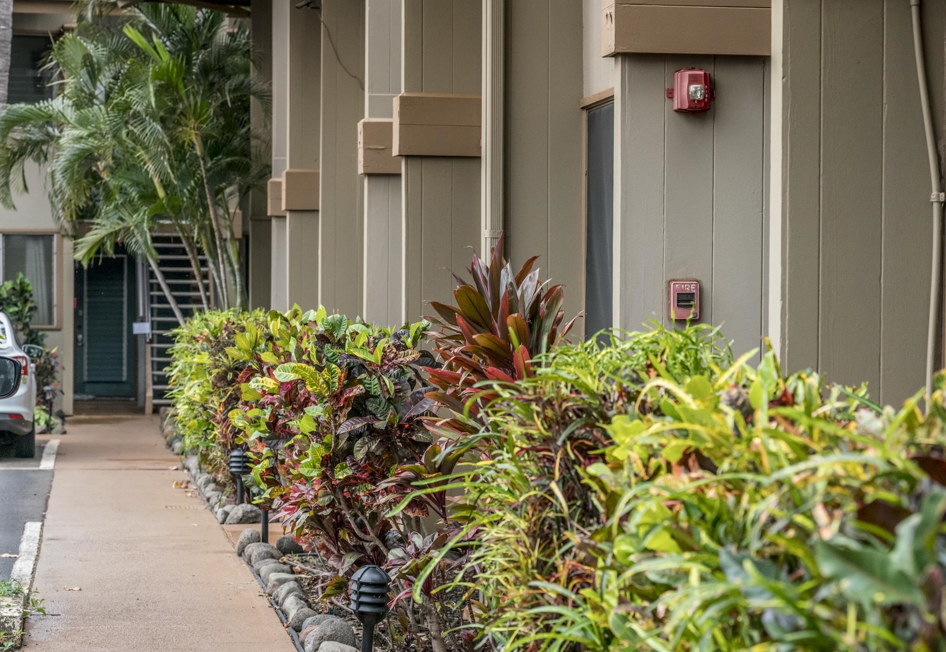 Hale Kai I condo # 110, Lahaina, Hawaii - photo 40 of 46