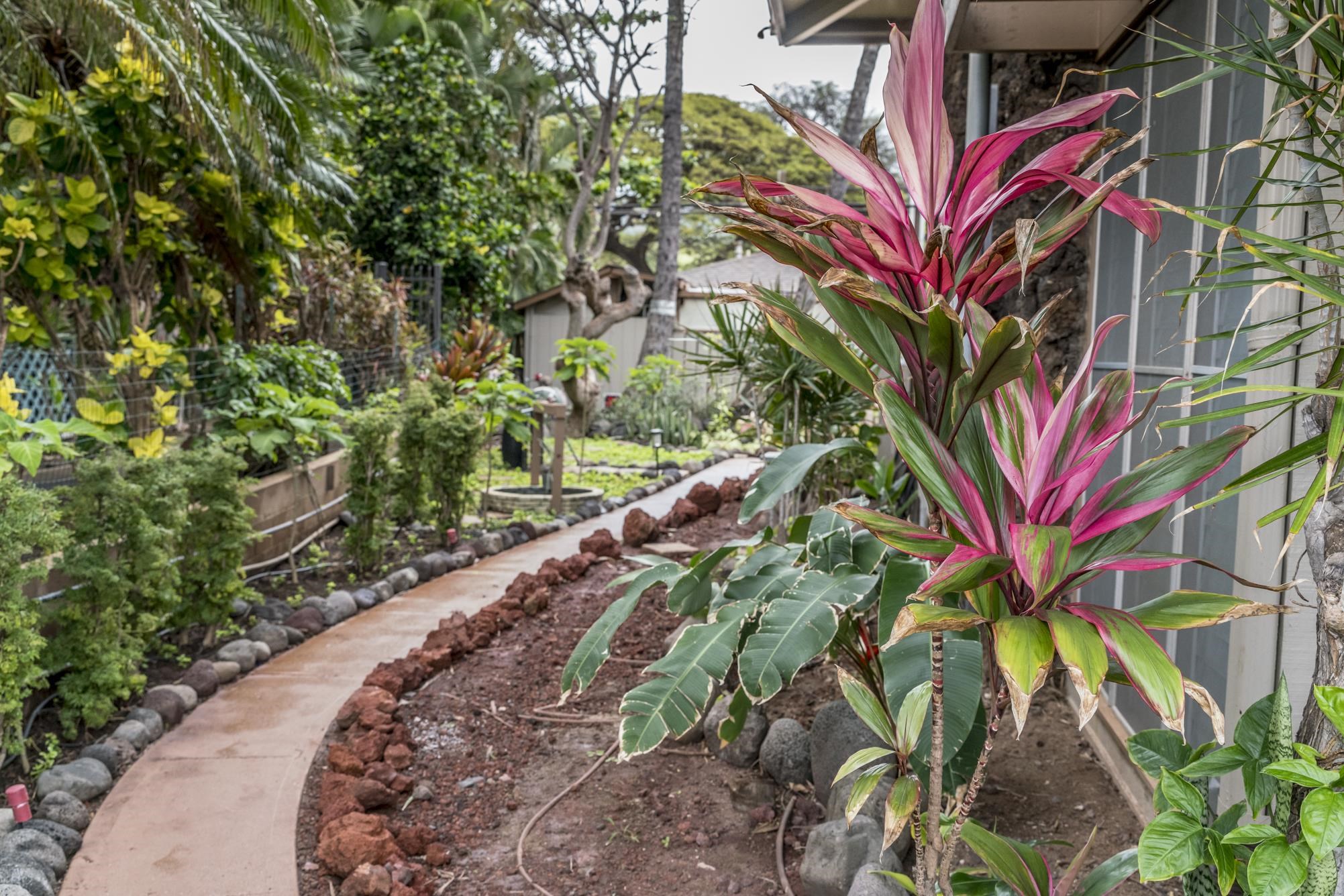 Hale Kai I condo # 110, Lahaina, Hawaii - photo 43 of 46