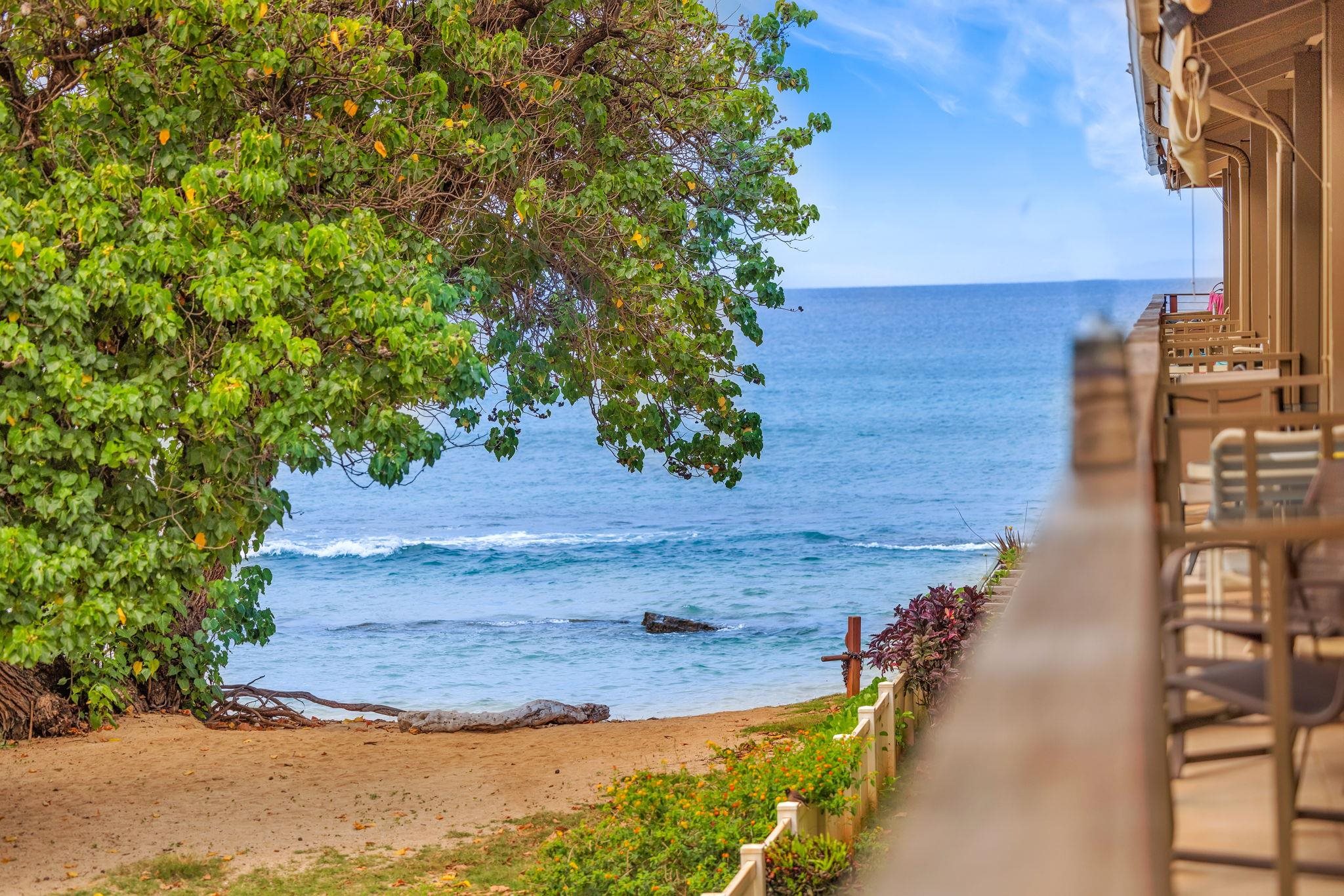 Hale Kai I condo # 211, Lahaina, Hawaii - photo 34 of 47