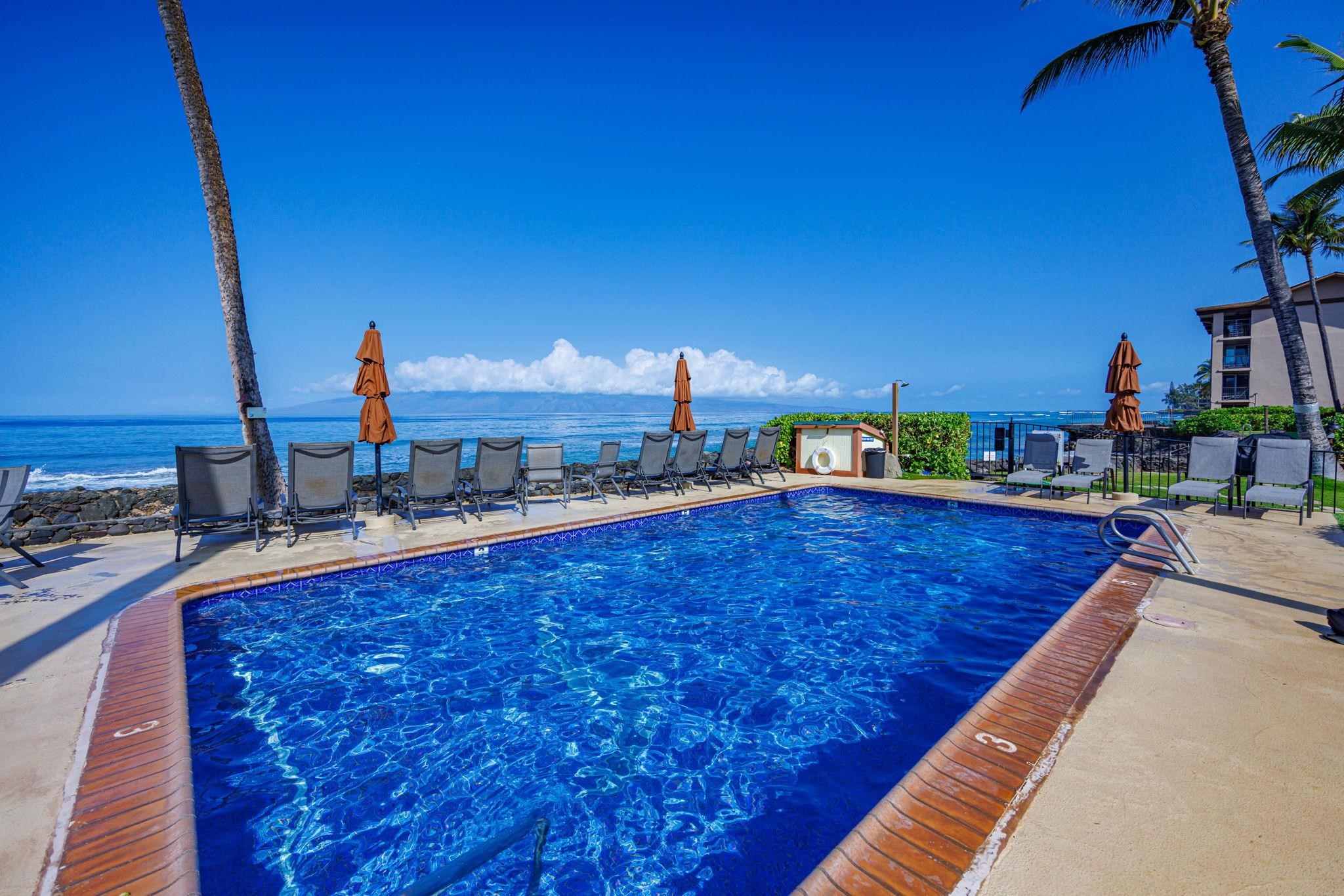 Hale Kai I condo # 211, Lahaina, Hawaii - photo 43 of 47