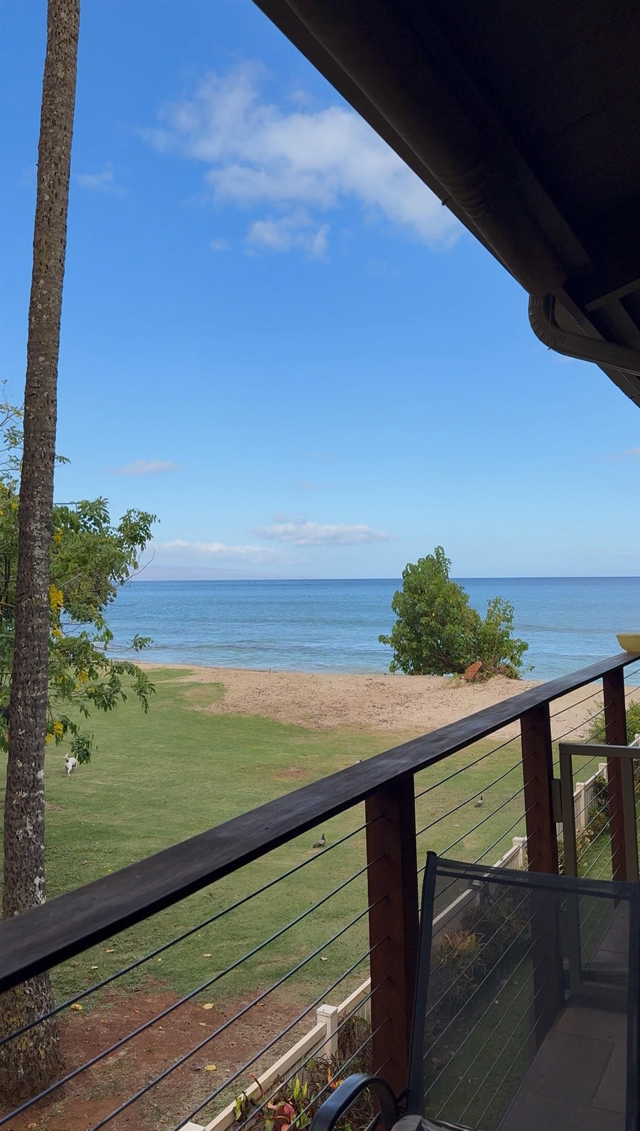 Hale Kai I condo # 211, Lahaina, Hawaii - photo 46 of 47