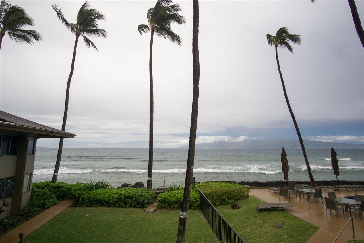 Hale Kai I condo # 213, Lahaina, Hawaii - photo 3 of 29