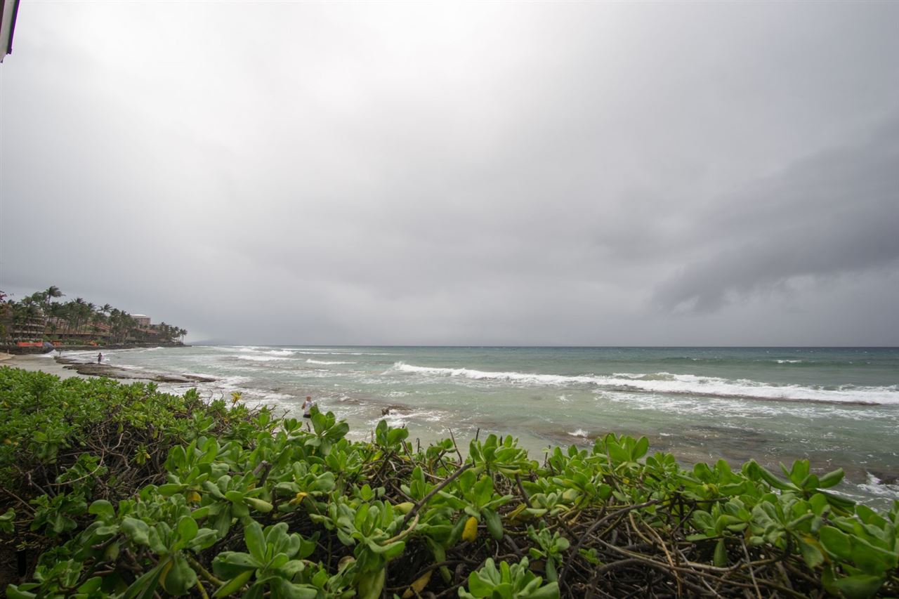 Hale Kai I condo # 213, Lahaina, Hawaii - photo 24 of 29