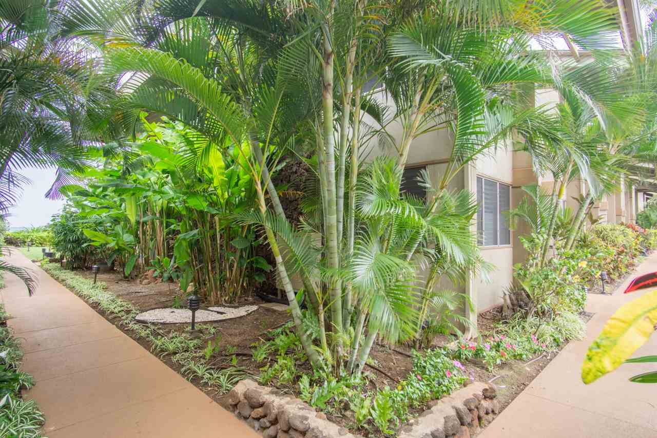 Hale Kai I condo # 213, Lahaina, Hawaii - photo 27 of 29