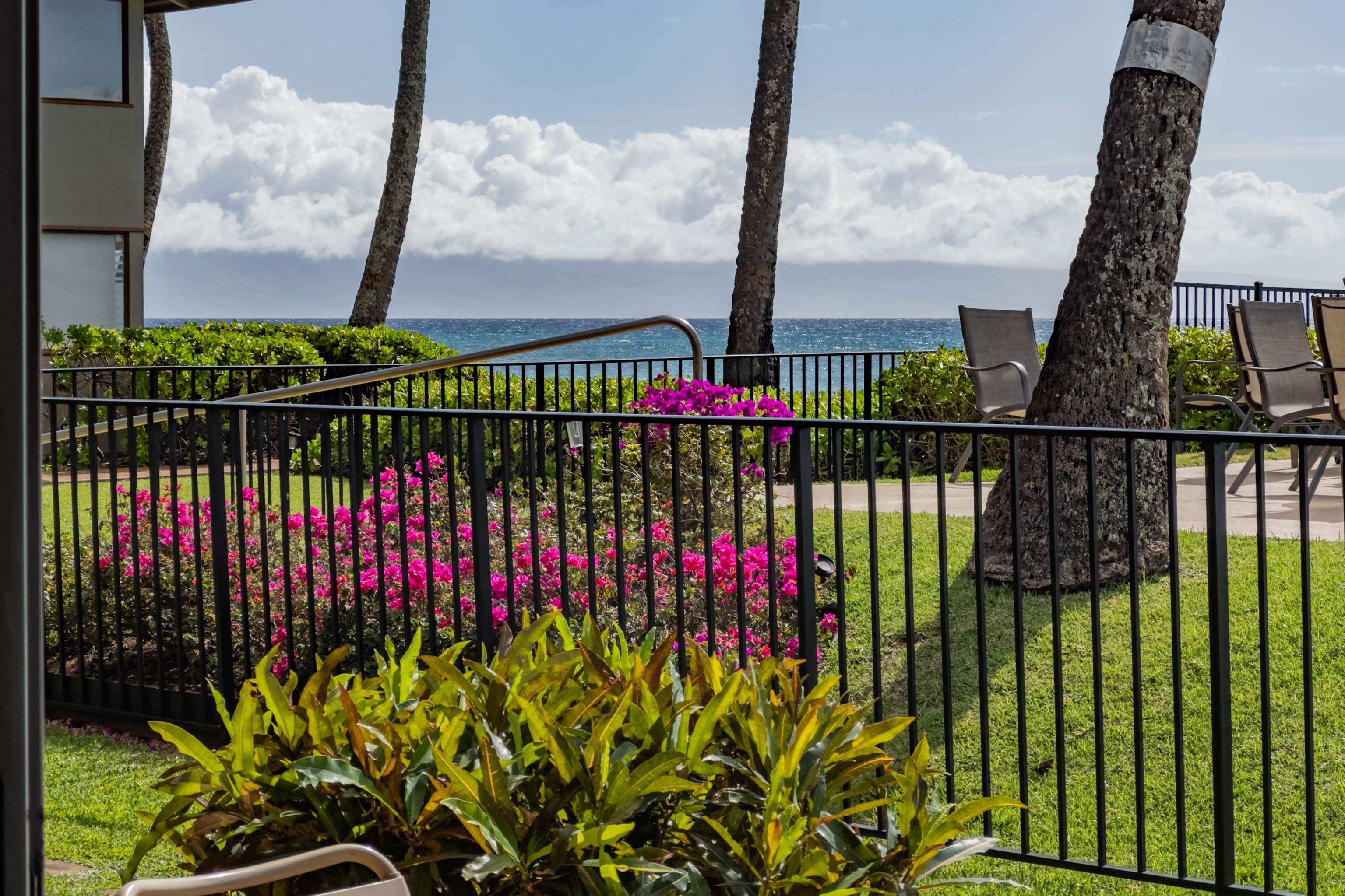 Hale Kai I condo # 117, Lahaina, Hawaii - photo 3 of 34