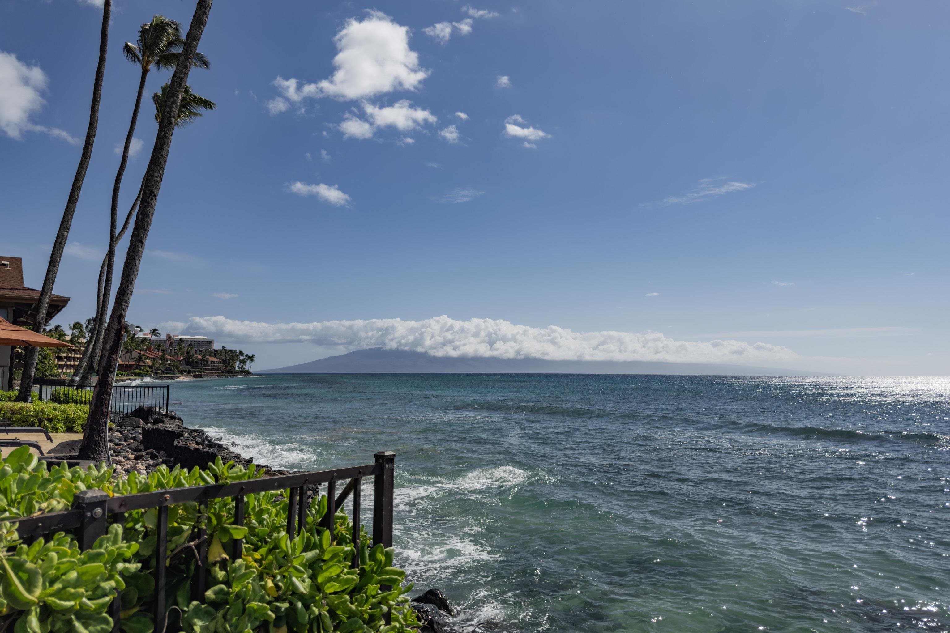 Hale Kai I condo # 117, Lahaina, Hawaii - photo 27 of 34