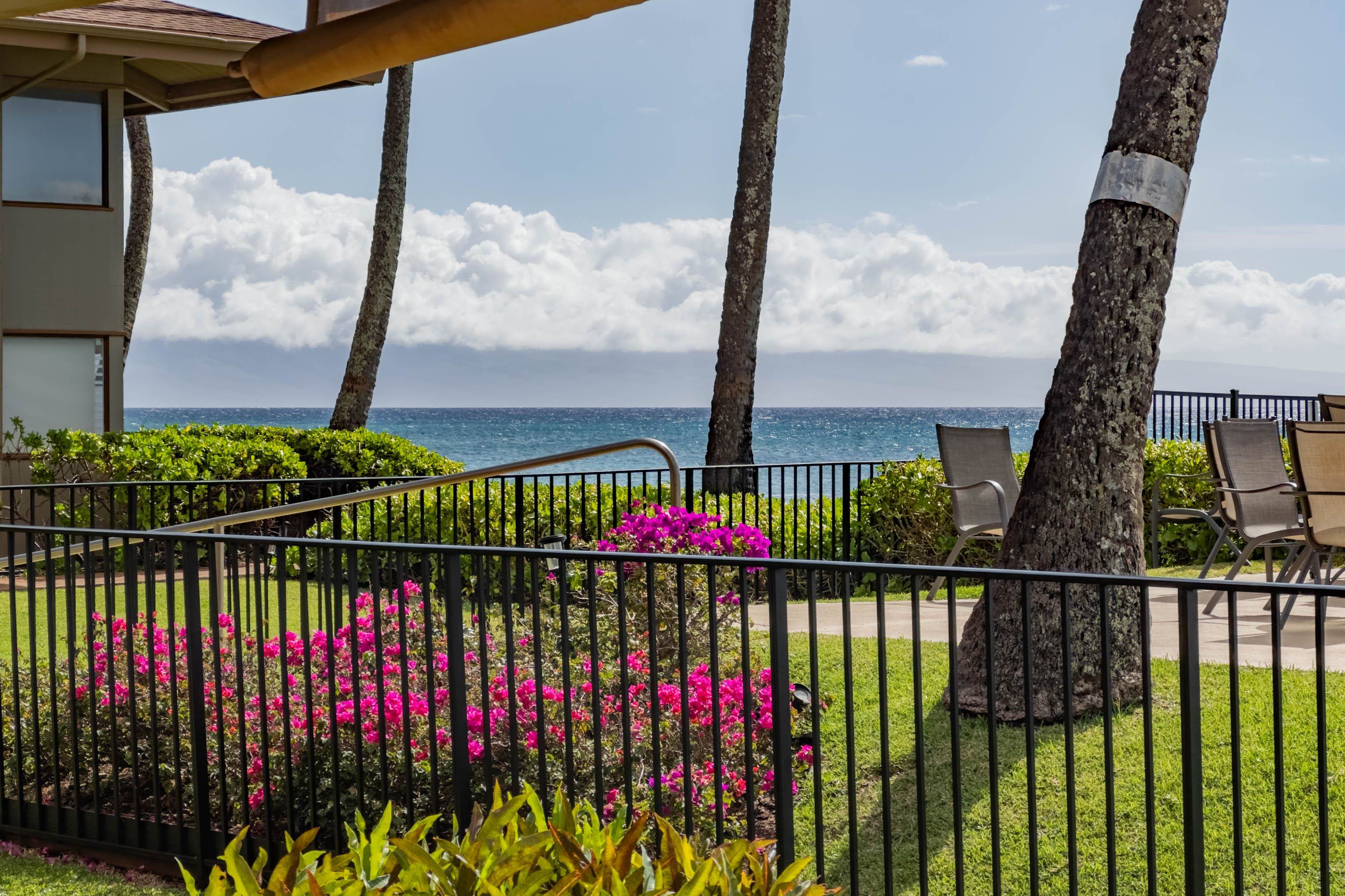 Hale Kai I condo # 117, Lahaina, Hawaii - photo 4 of 34