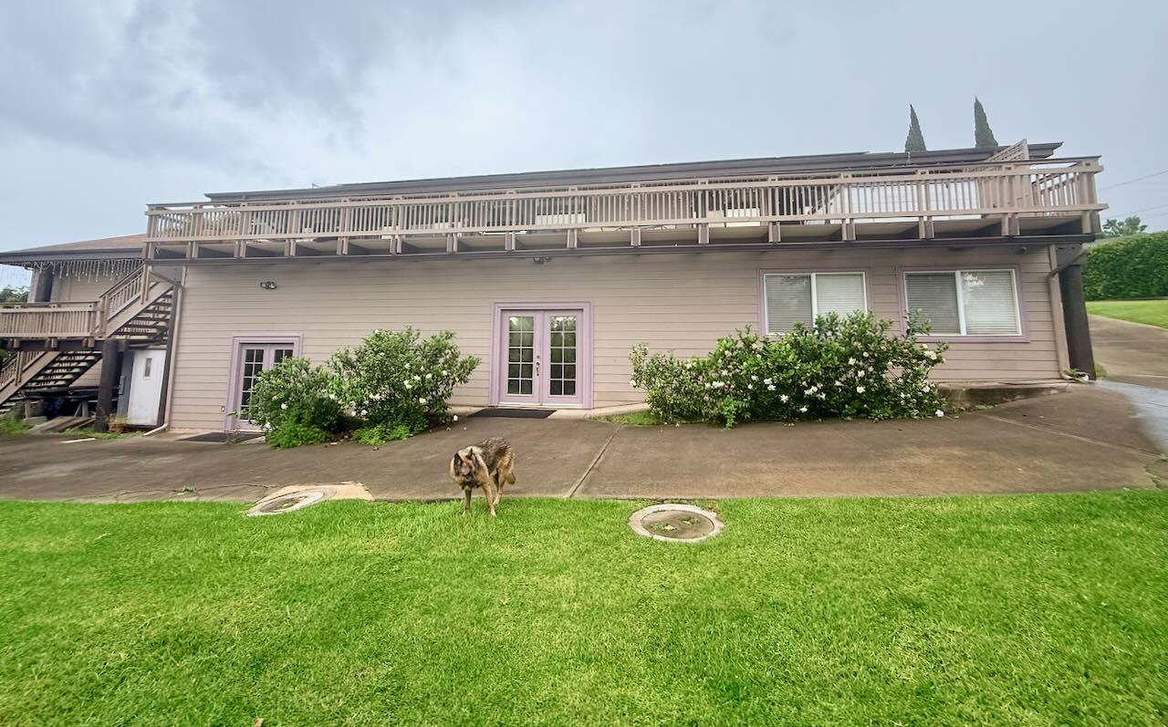 3697  Lower Kula Rd Lower Kula, Kula/Ulupalakua/Kanaio home - photo 25 of 50