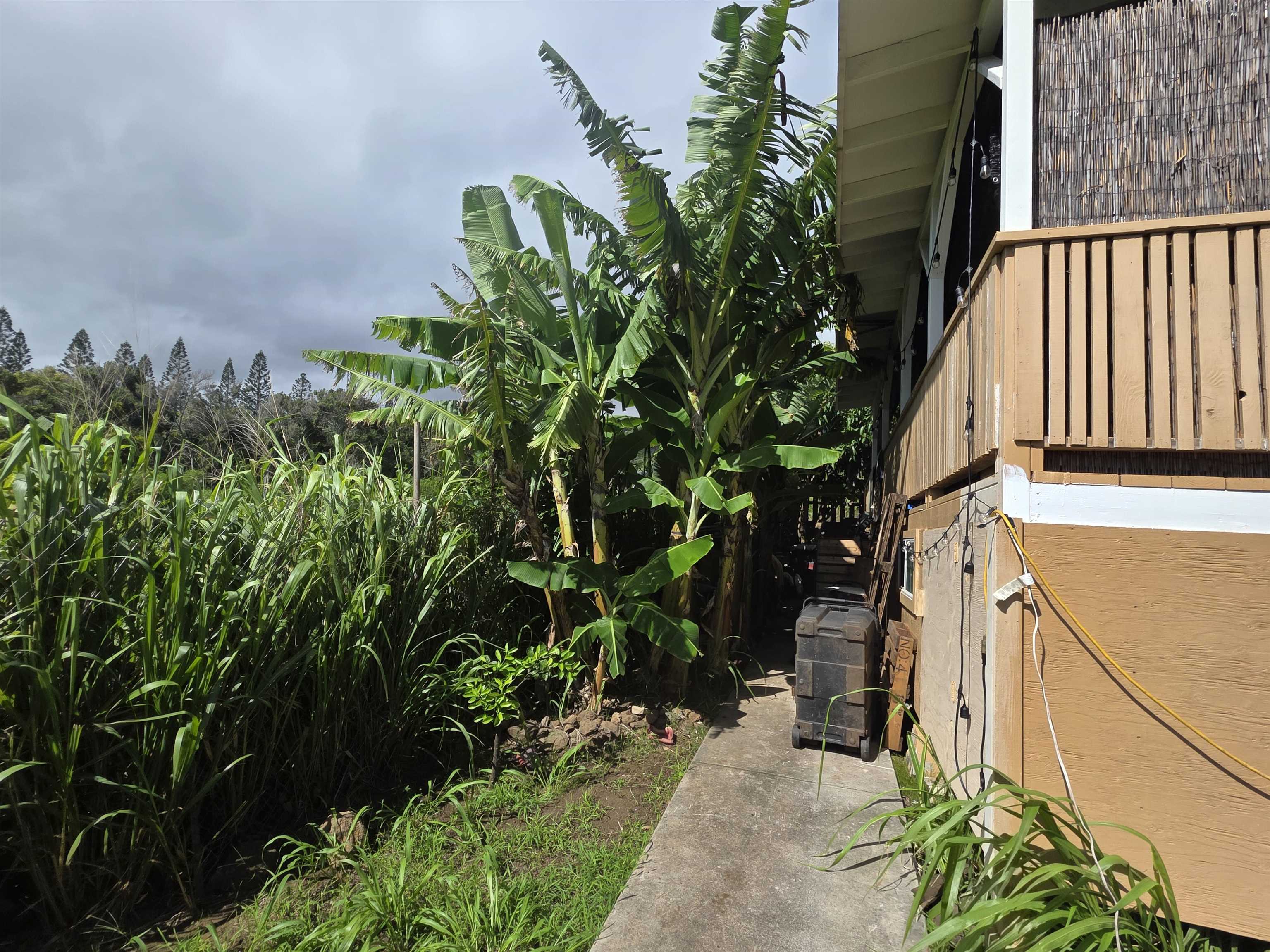 37  Kuhinia St Waihee, Wailuku home - photo 19 of 22