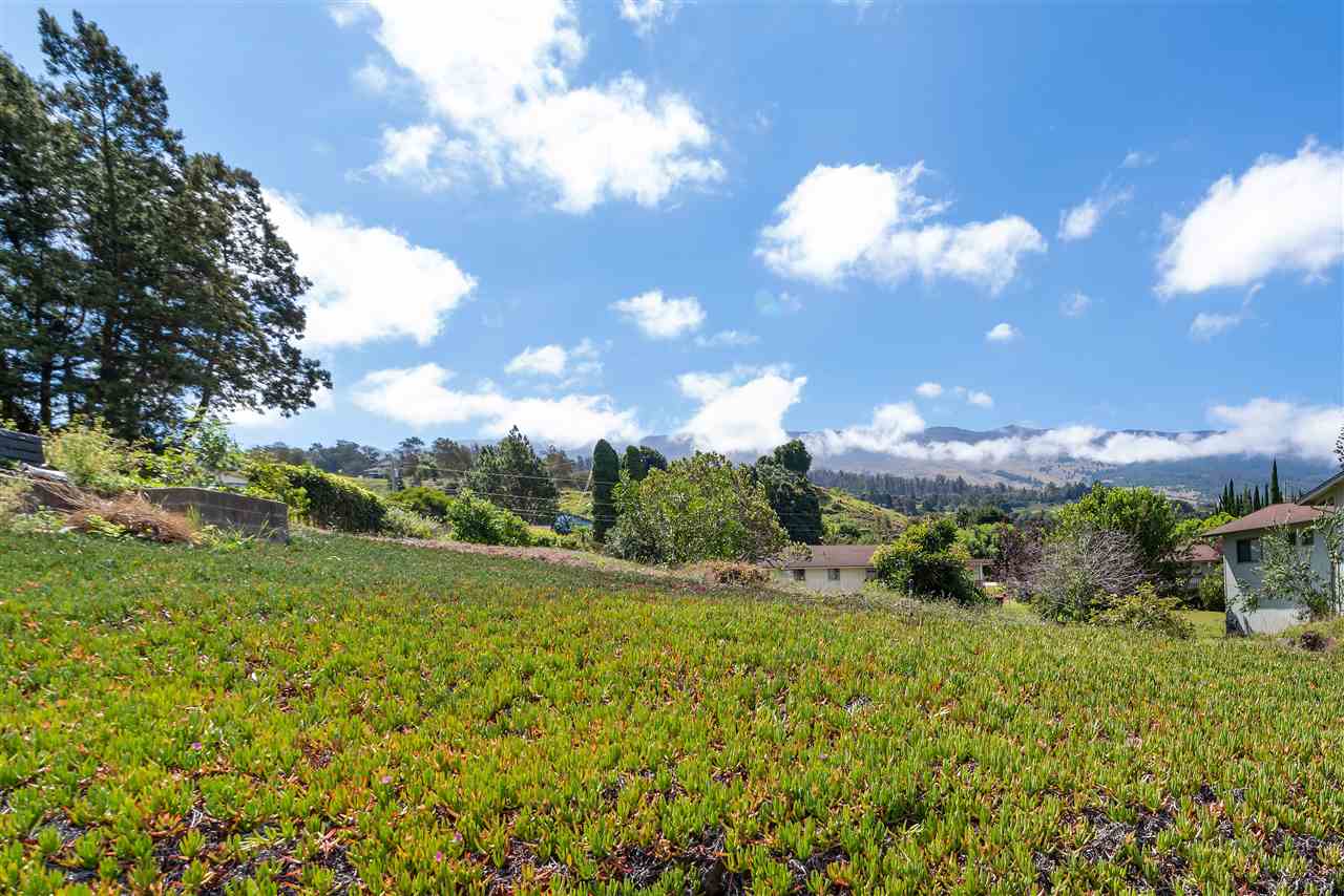 37  Meakoho Pl Upper Kimo, Kula/Ulupalakua/Kanaio home - photo 16 of 16