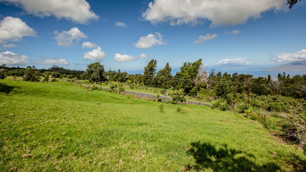 37 Middle Rd 2 Kula, Hi vacant land for sale - photo 12 of 19