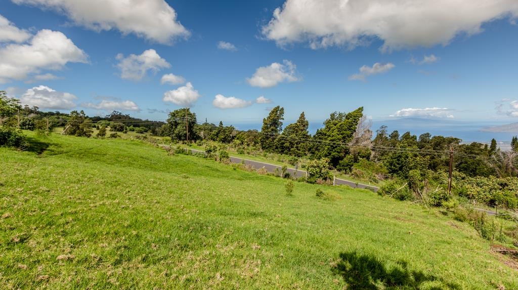 37 Middle Rd 2 Kula, Hi vacant land for sale - photo 13 of 19